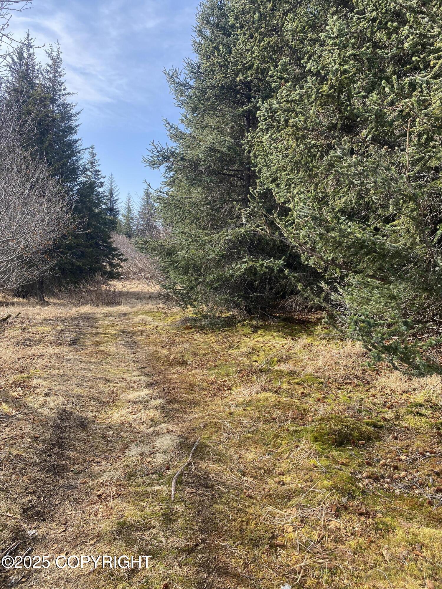 65655 Ring Of Fire Avenue, Anchor Point, Alaska image 6