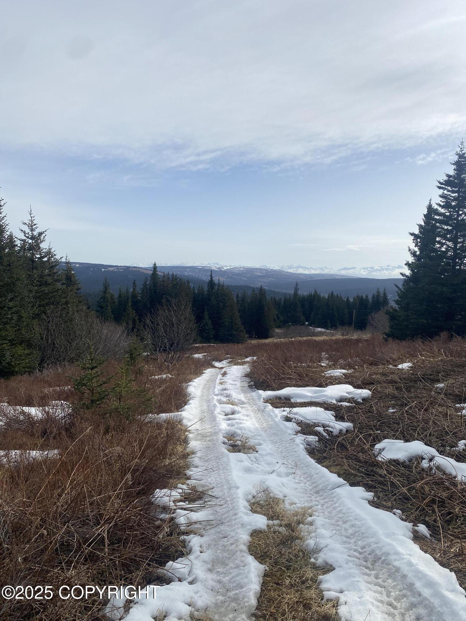 65655 Ring Of Fire Avenue, Anchor Point, Alaska image 9