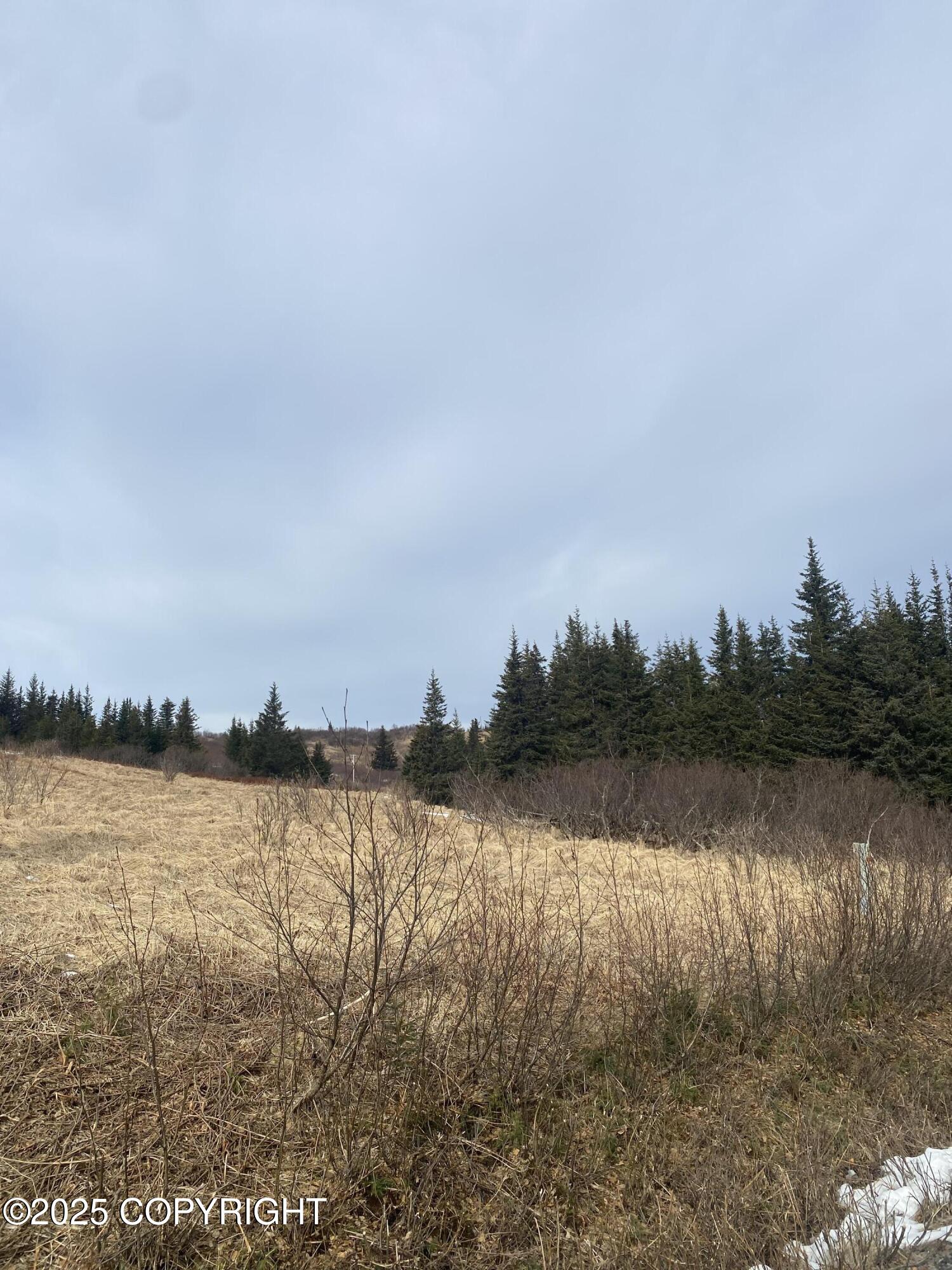 65655 Ring Of Fire Avenue, Anchor Point, Alaska image 12