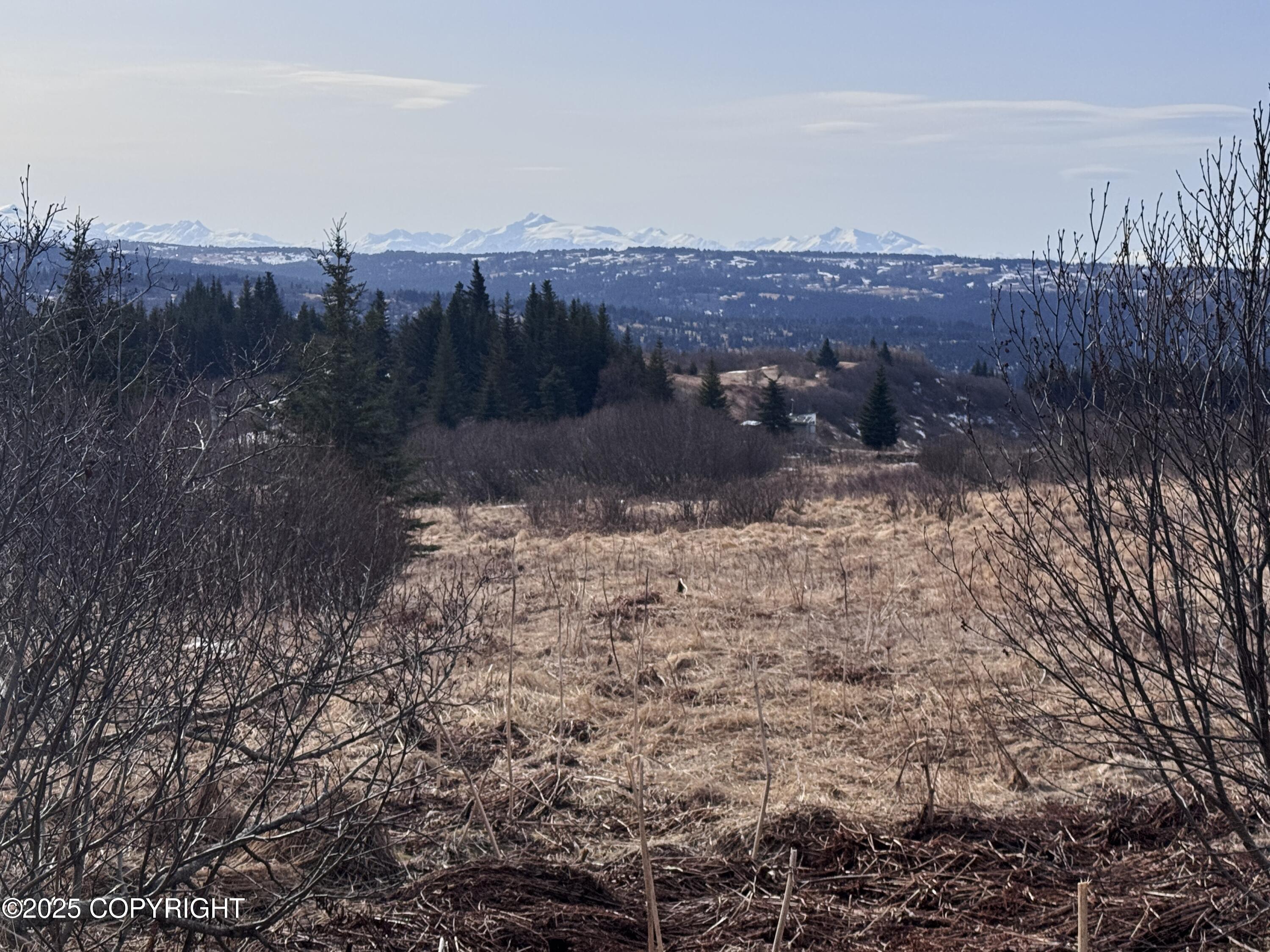 65655 Ring Of Fire Avenue, Anchor Point, Alaska image 19
