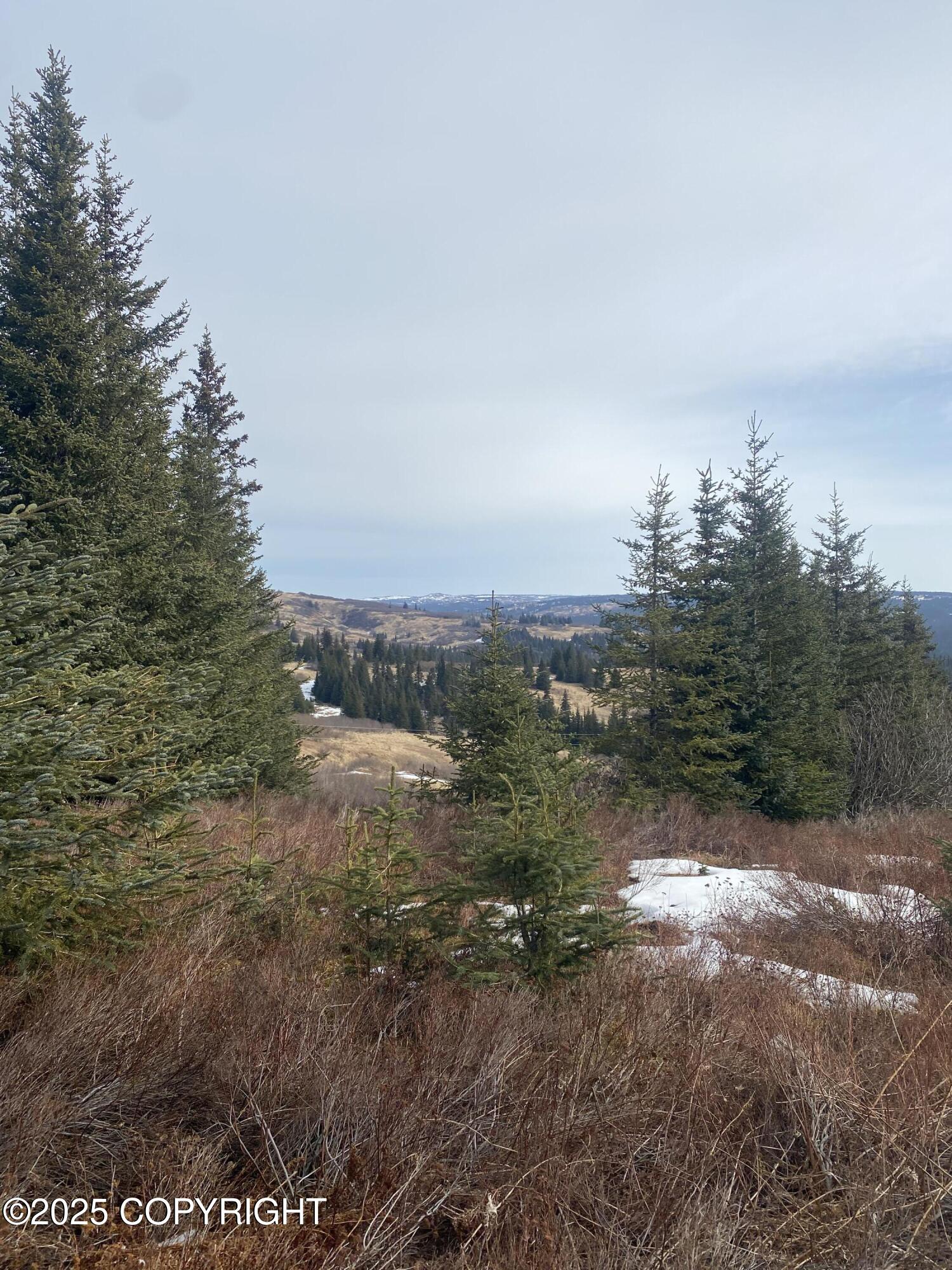 65655 Ring Of Fire Avenue, Anchor Point, Alaska image 8