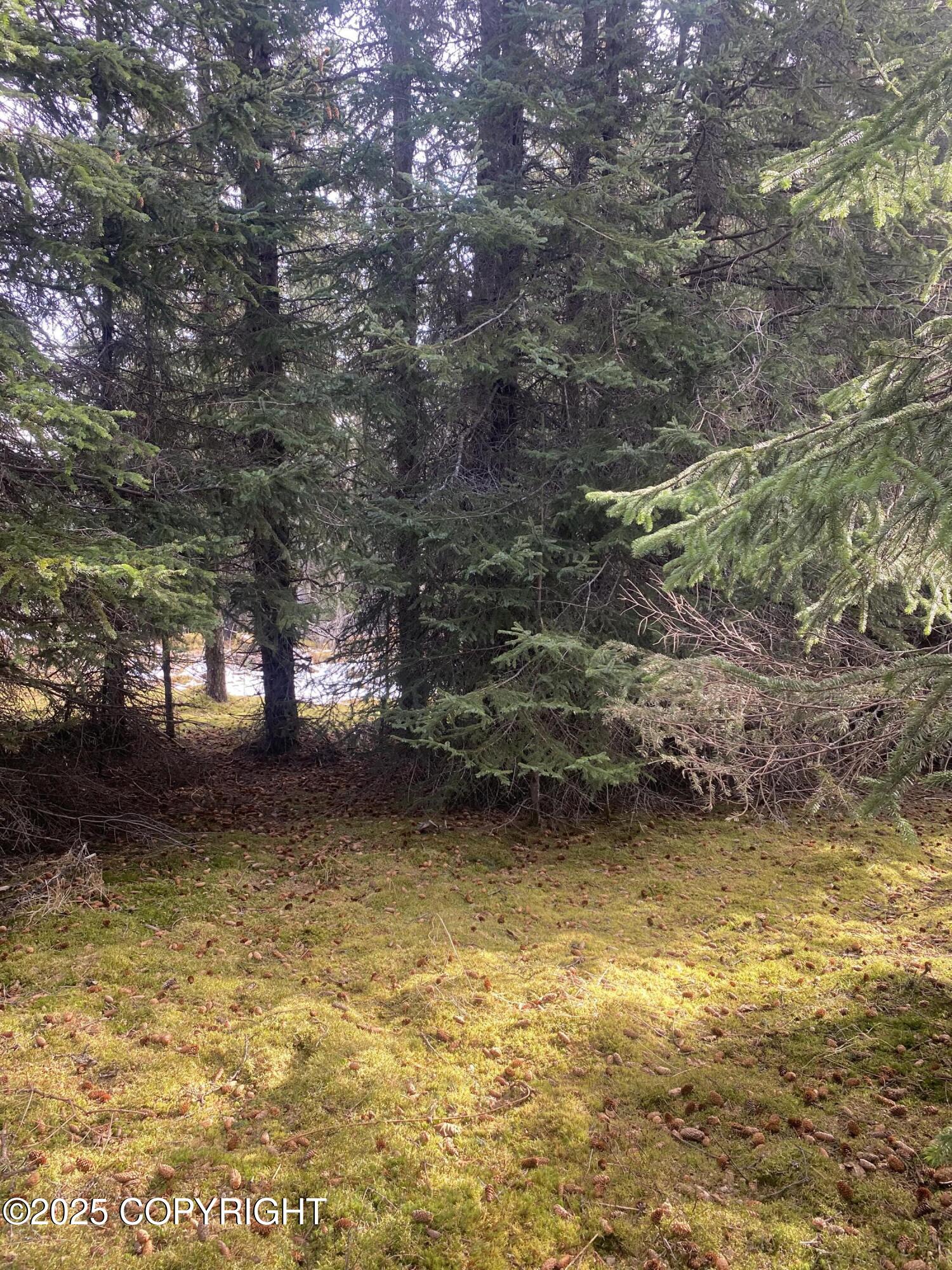 65655 Ring Of Fire Avenue, Anchor Point, Alaska image 2