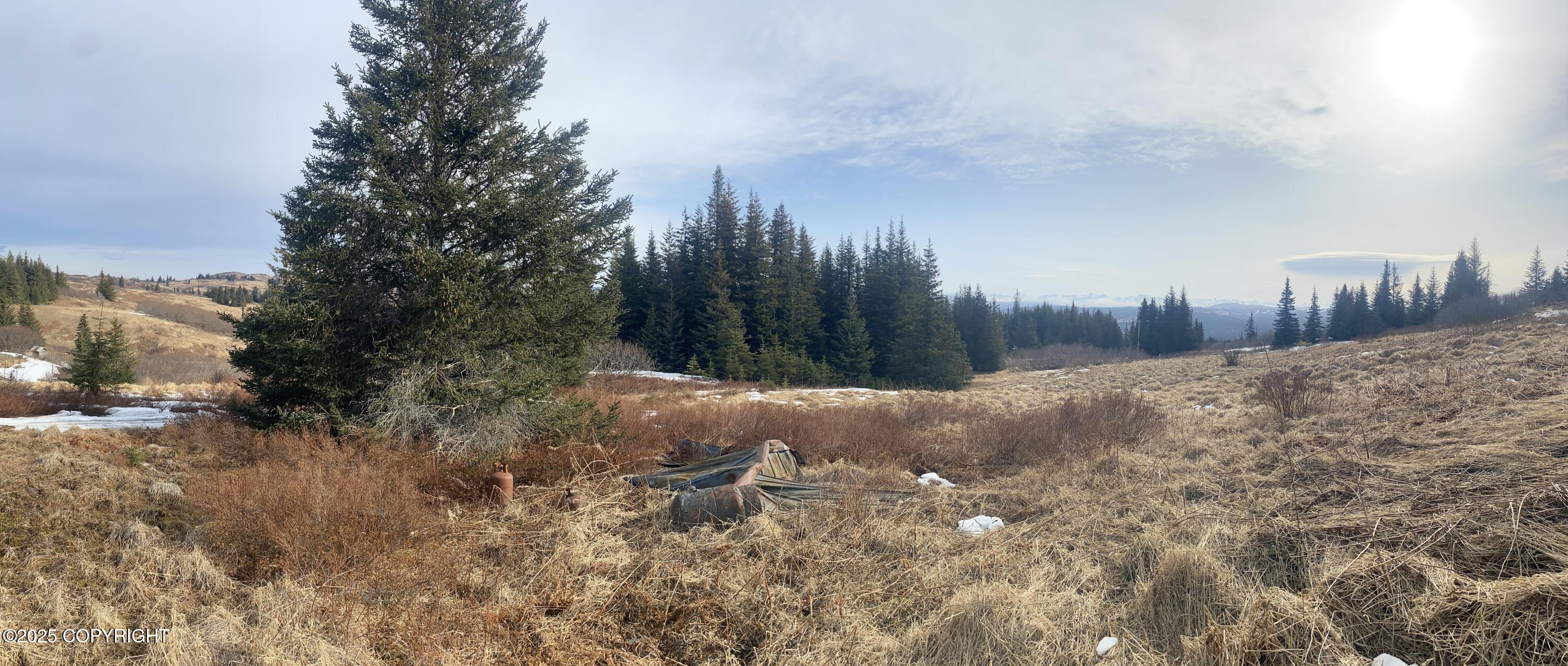 65655 Ring Of Fire Avenue, Anchor Point, Alaska image 7