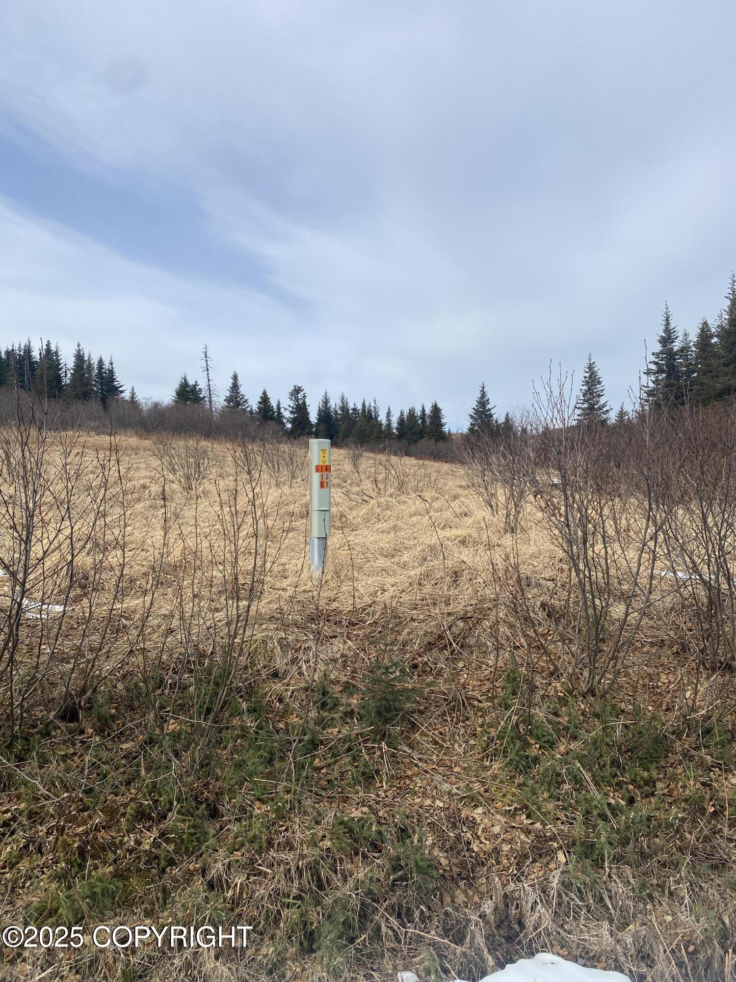 65655 Ring Of Fire Avenue, Anchor Point, Alaska image 10