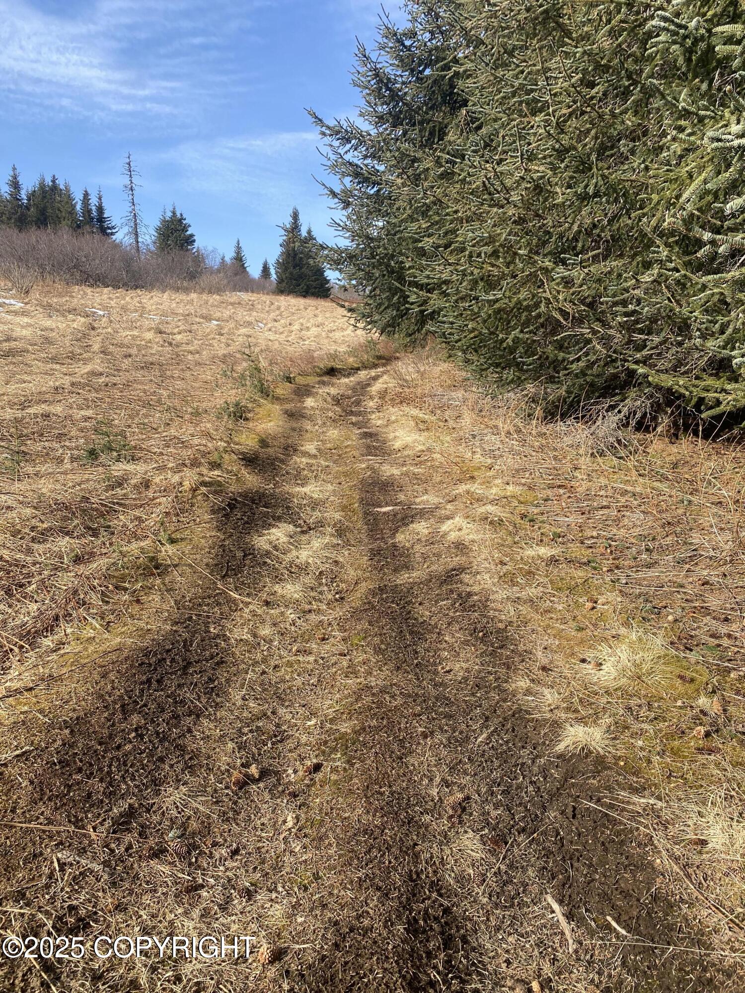 65655 Ring Of Fire Avenue, Anchor Point, Alaska image 5