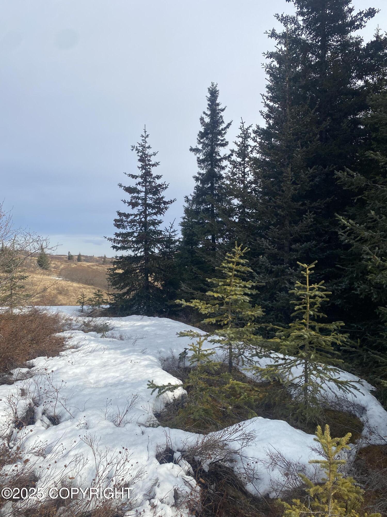 65655 Ring Of Fire Avenue, Anchor Point, Alaska image 4
