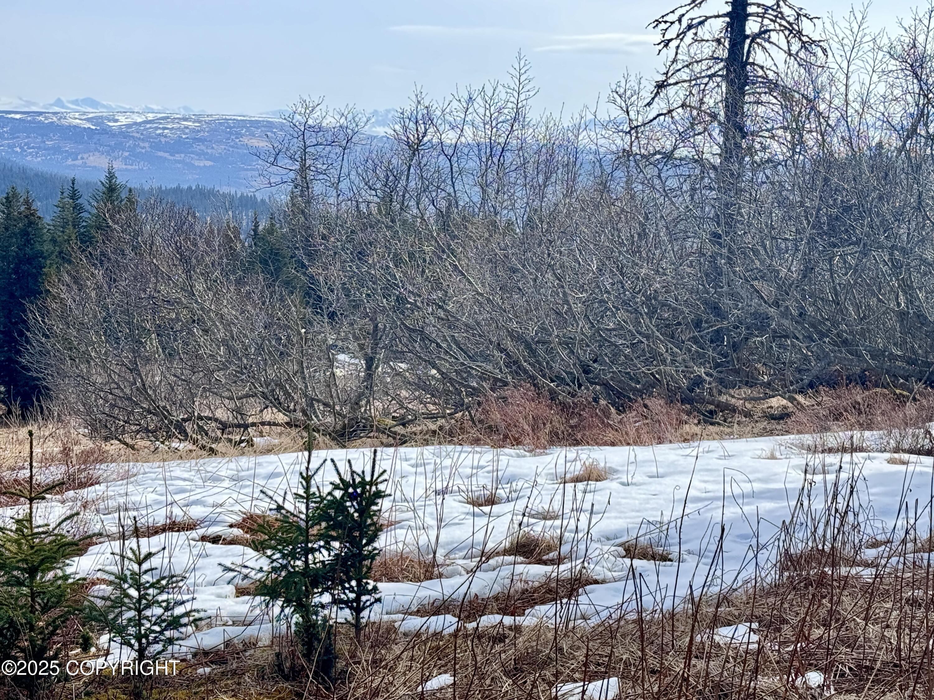 65655 Ring Of Fire Avenue, Anchor Point, Alaska image 15