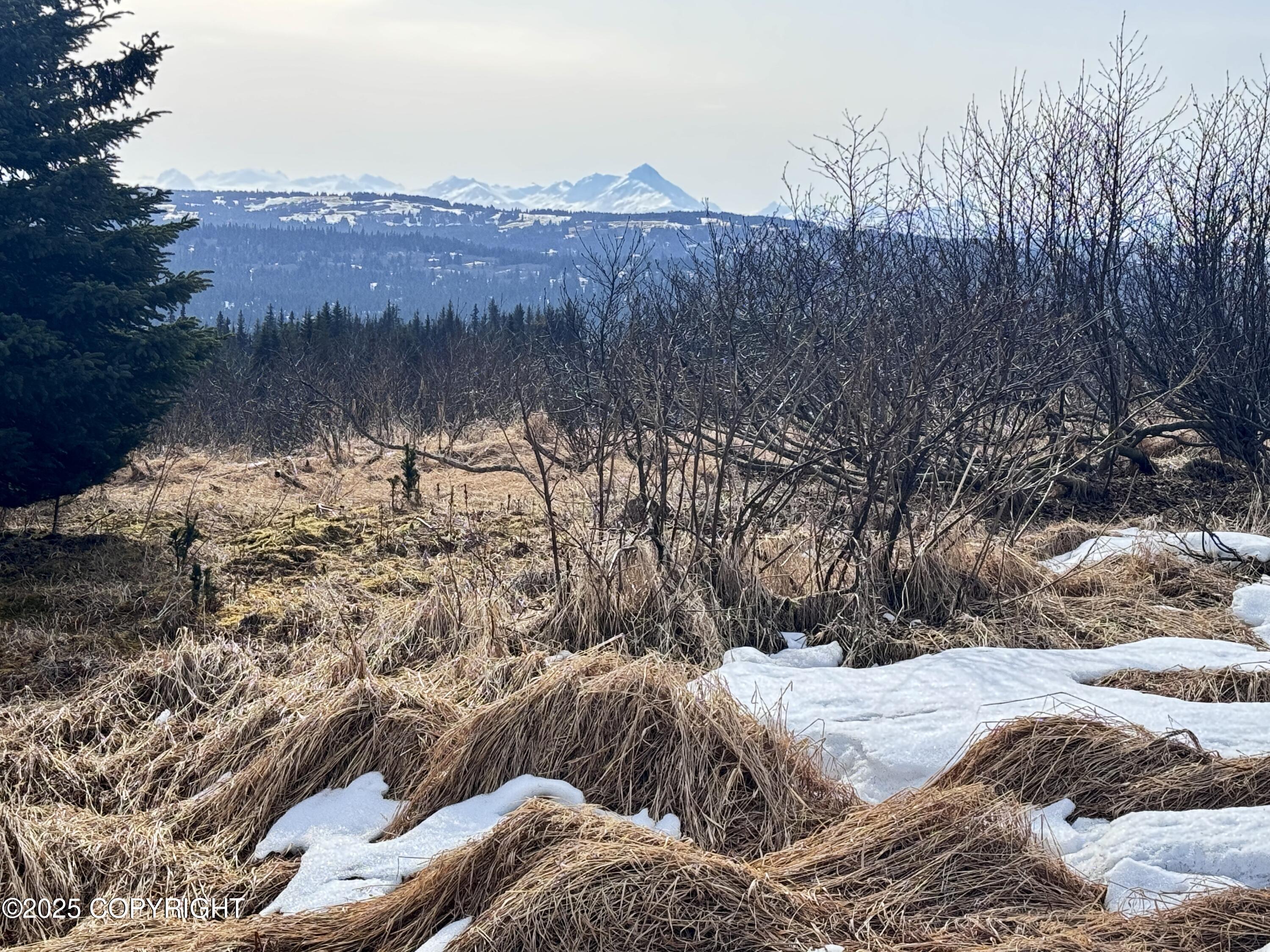 65655 Ring Of Fire Avenue, Anchor Point, Alaska image 18
