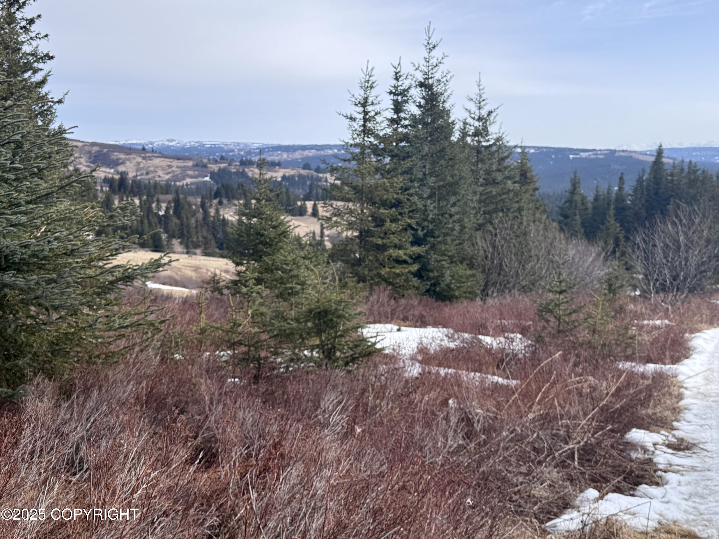65655 Ring Of Fire Avenue, Anchor Point, Alaska image 16