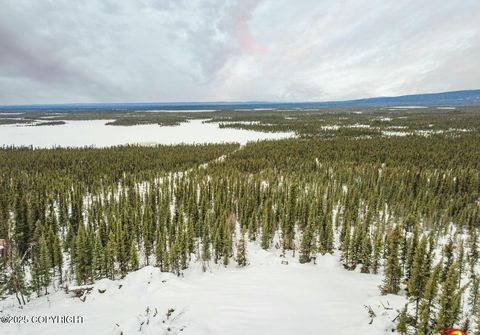 Homes For Sale - L8 Lou Anne Lane<br/> Gakona, AK 99586