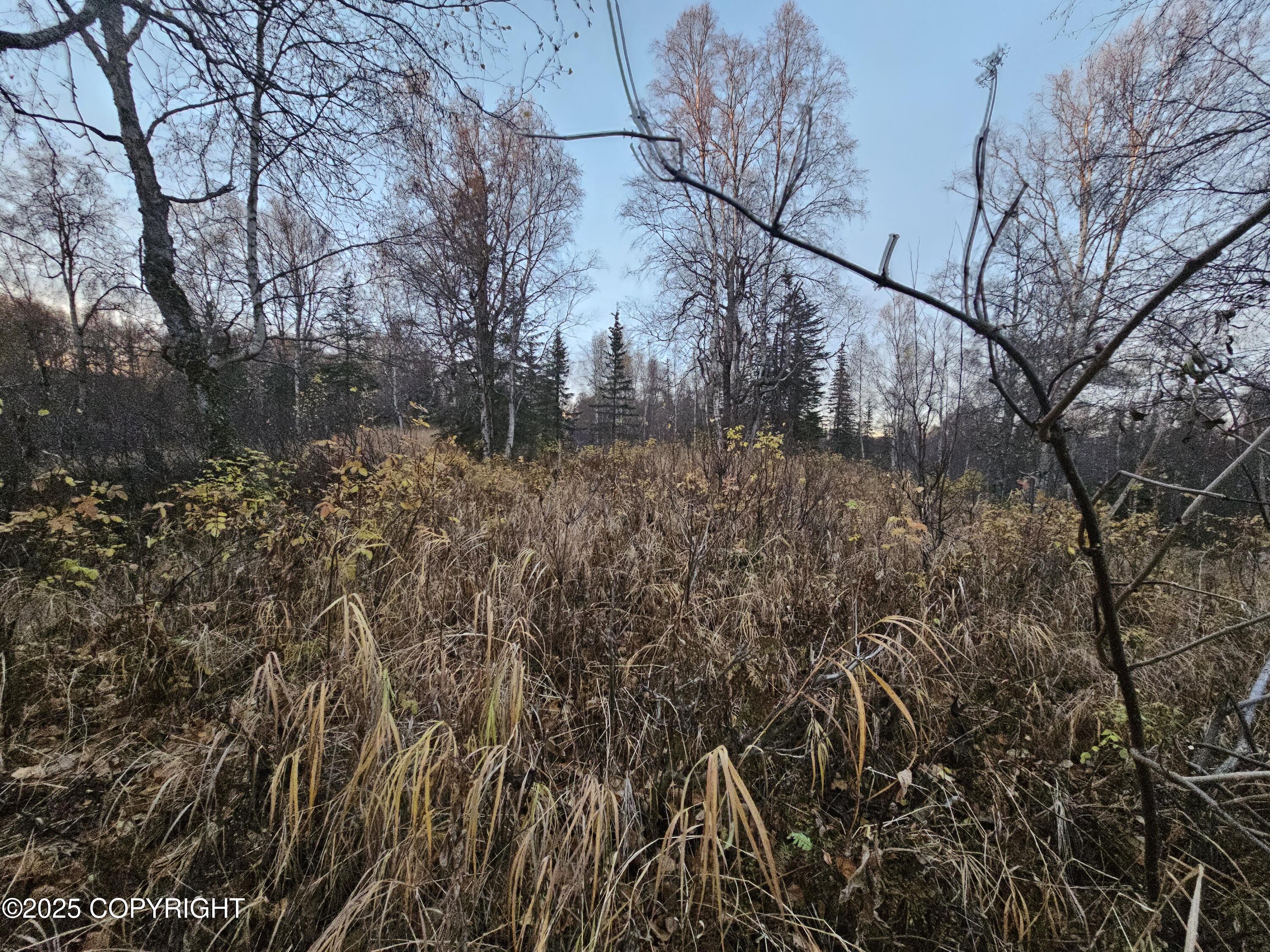 A008 Mile 117.3 Parks Highway, Trapper Creek, Alaska image 7