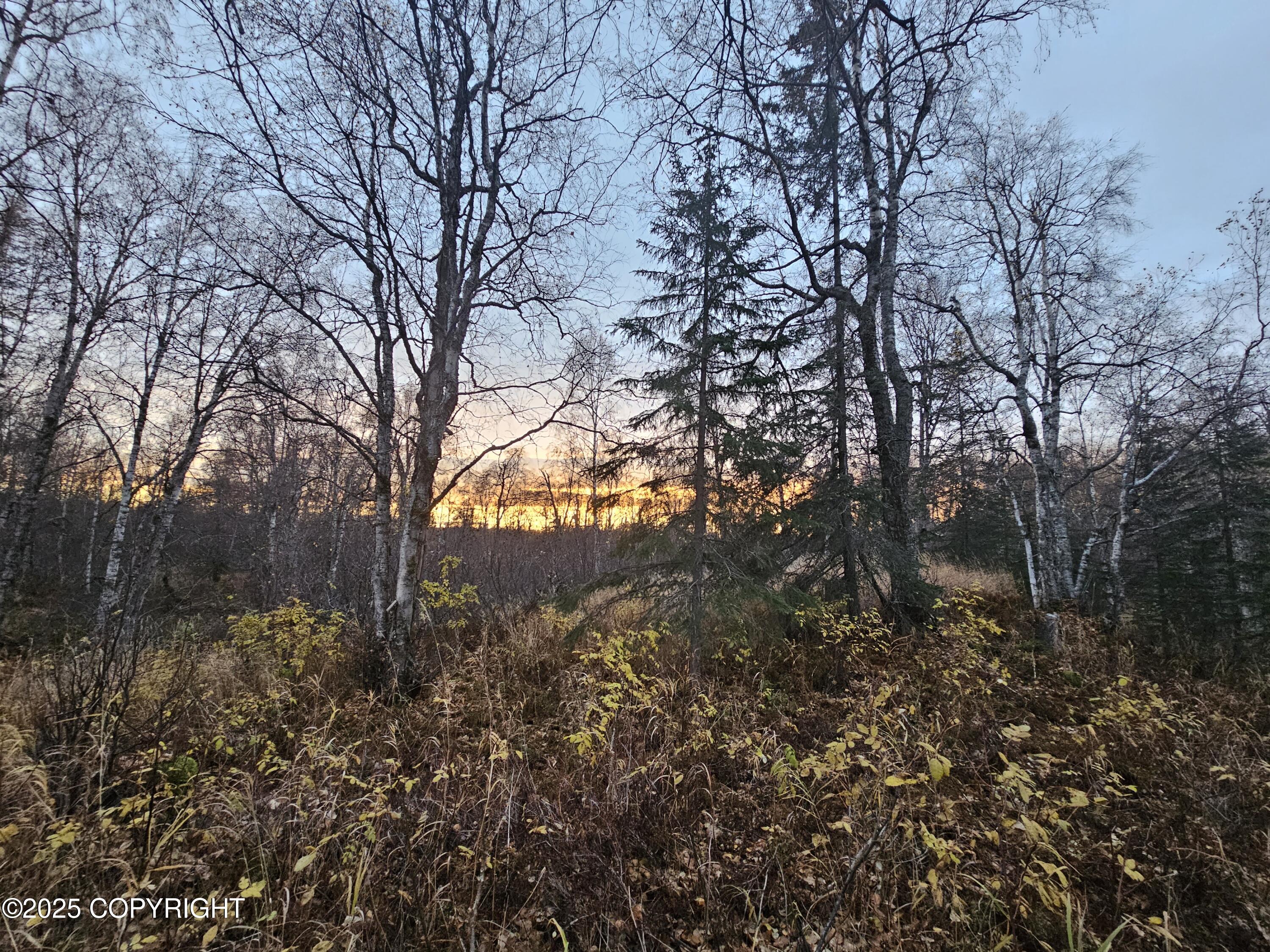 A008 Mile 117.3 Parks Highway, Trapper Creek, Alaska image 9