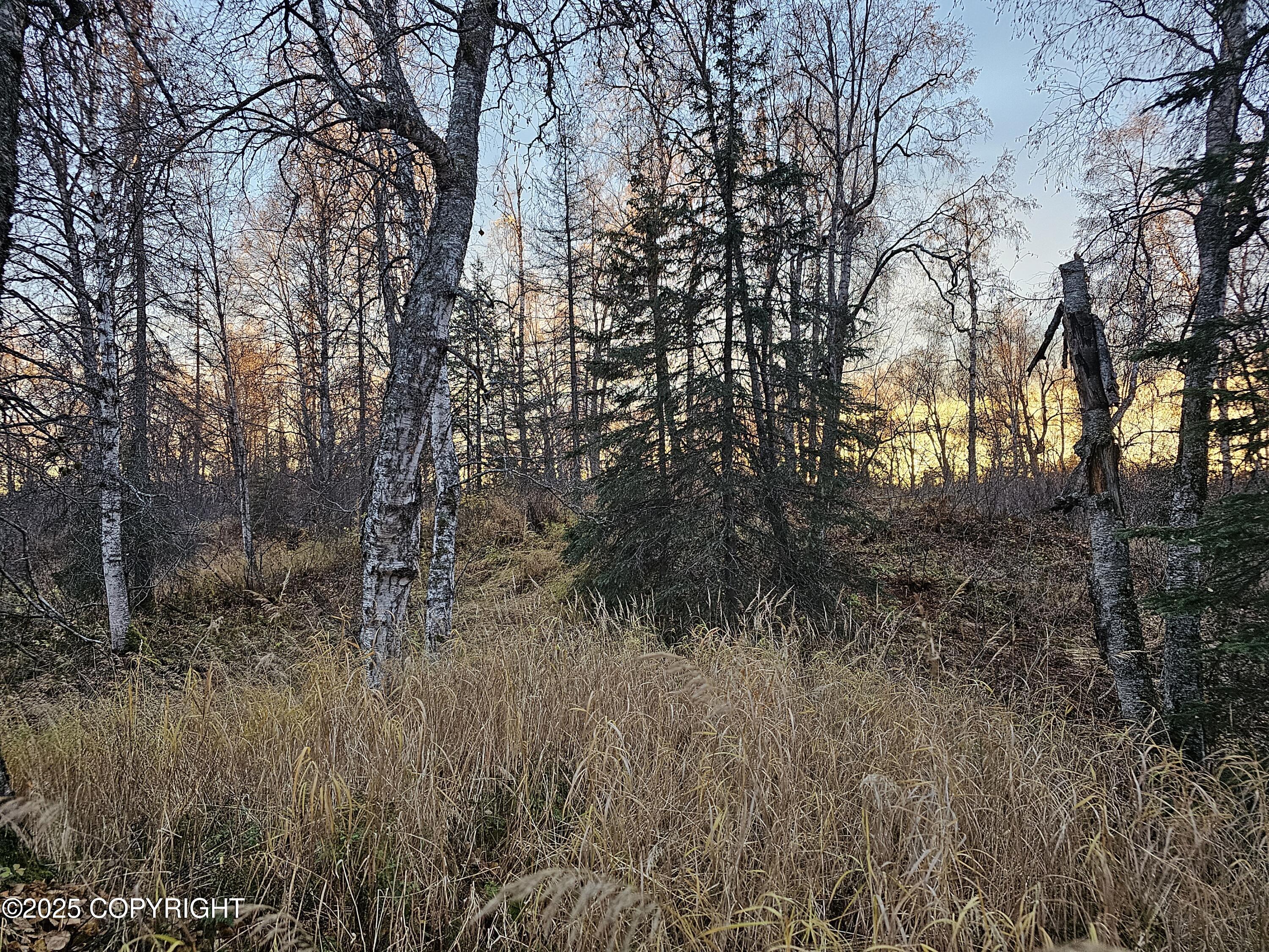 A008 Mile 117.3 Parks Highway, Trapper Creek, Alaska image 1