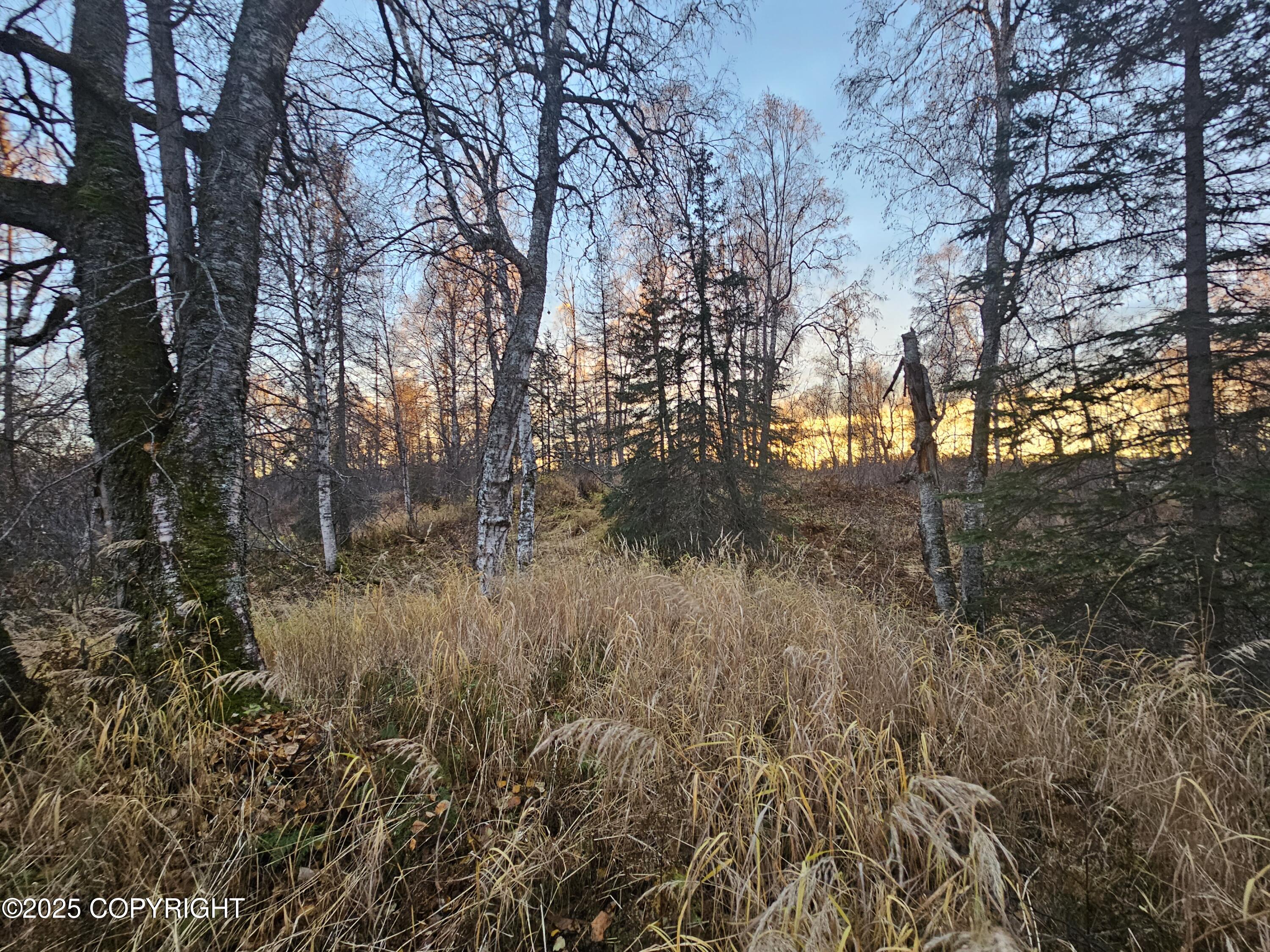 A008 Mile 117.3 Parks Highway, Trapper Creek, Alaska image 6