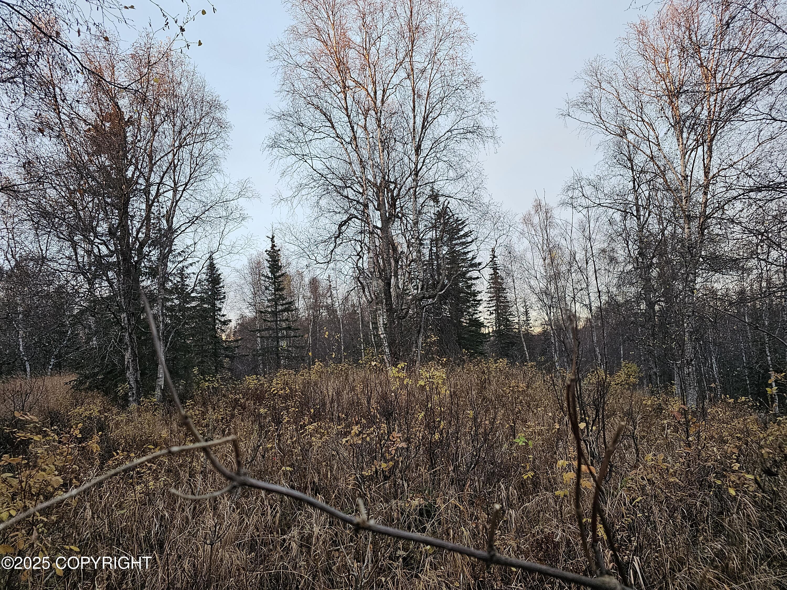 A008 Mile 117.3 Parks Highway, Trapper Creek, Alaska image 8