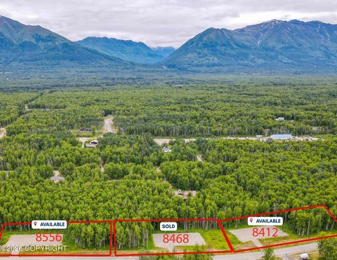 Vacant Land For Sale - L7 E Windy Woods Loop<br/> Palmer, AK 99654