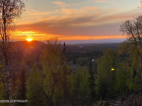 Vacant Land For Sale - 41158 Carnation Court<br/> Soldotna, AK 99669