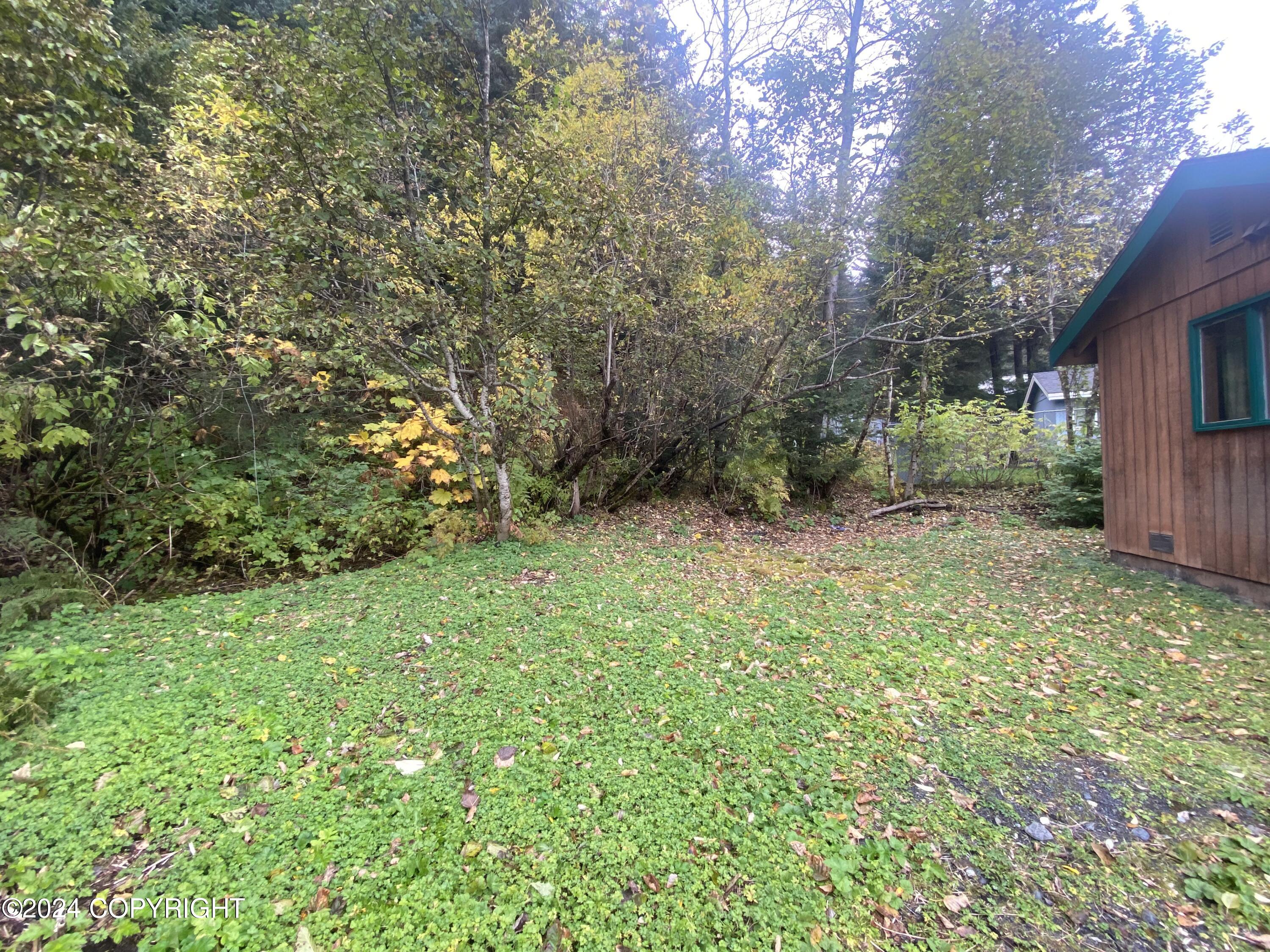 1915 Dora Way, Seward, Alaska image 24