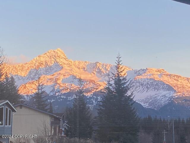 1915 Dora Way, Seward, Alaska image 34
