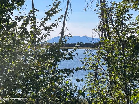 Photo of 5280 S Horseshoe Lake Road, Big Lake, AK 99652 (MLS # 26-5343)