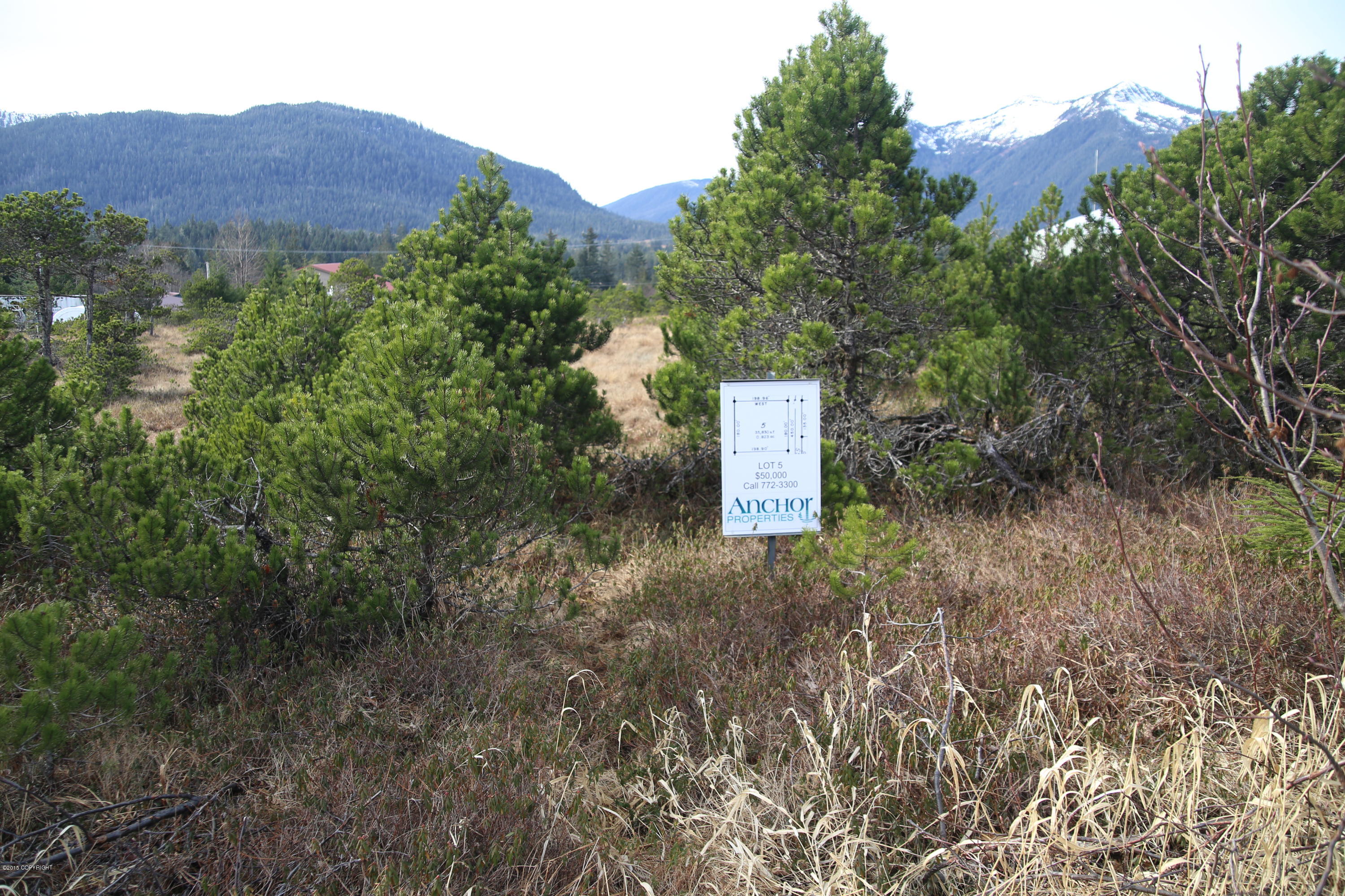 111 Arness Heights Drive, Petersburg, Alaska image 2