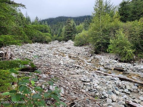 Photo of L3 Lutak Road, Haines, AK 99827 (MLS # 25-14205)