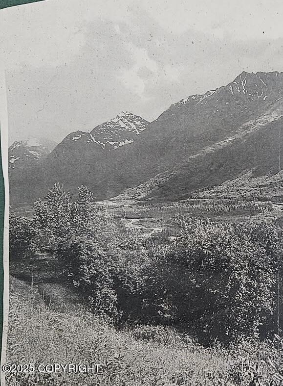 0000 No Name Road Court, Eagle River, Alaska image 6