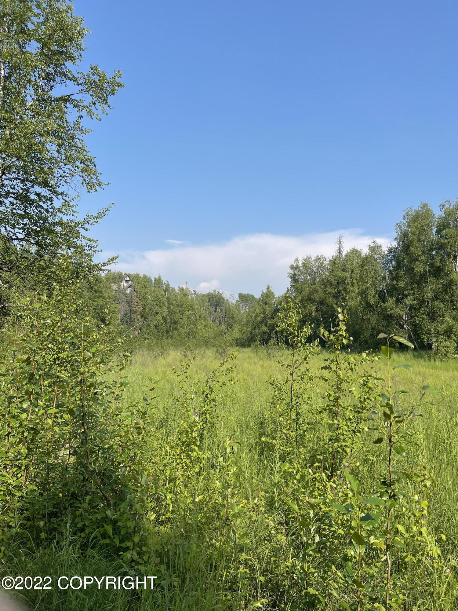 14595 E Prairie Circle, Willow, Alaska image 21