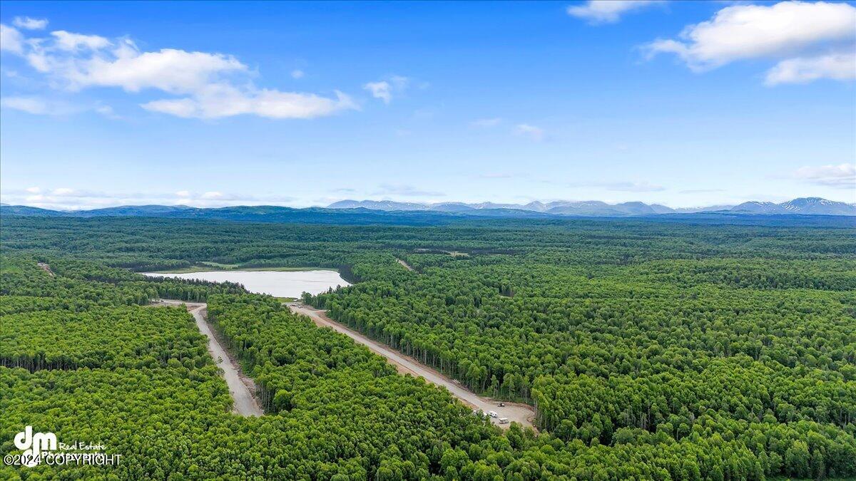 Unit 57 Baldy Lake Airpark Drive, Talkeetna, Alaska image 1