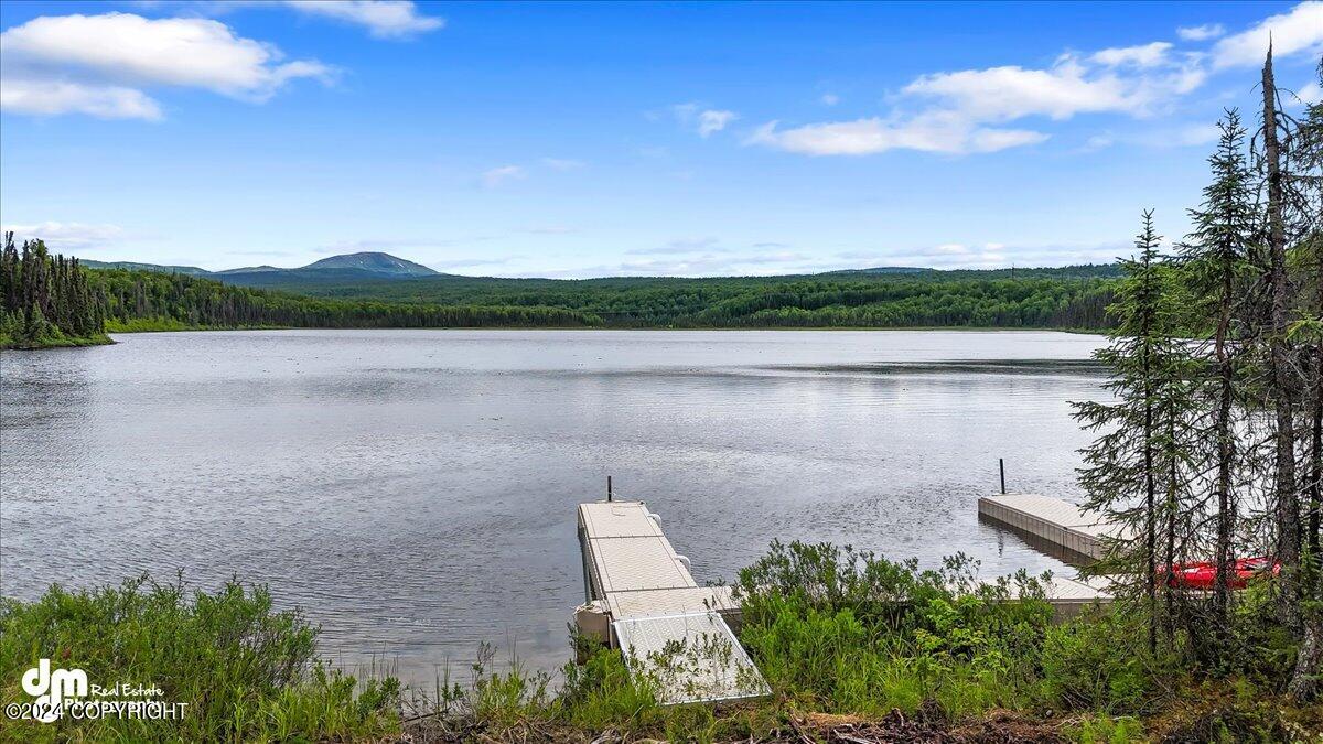 Unit 57 Baldy Lake Airpark Drive, Talkeetna, Alaska image 19