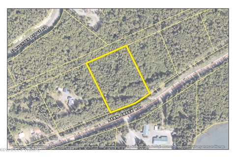 Vacant Land For Sale - L13B Bean Creek Road<br/> Cooper Landing, AK 99572