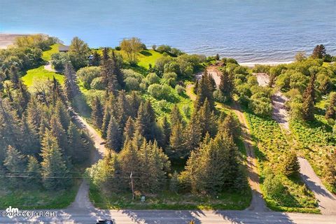 Vacant Land For Sale - 32775 Shorebird Lane<br/> Anchor Point, AK 99556