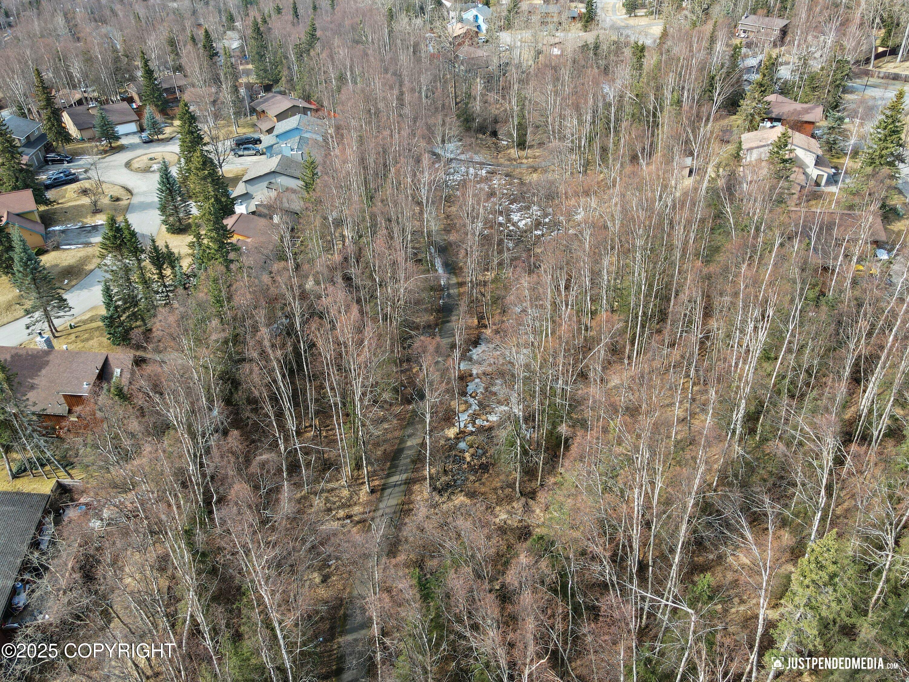 19805 S Montague Loop, Eagle River, Alaska image 38
