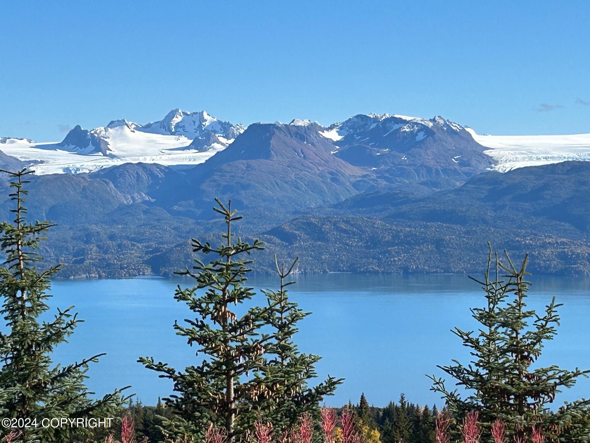 51080 E Trail Mountain Court, Homer, Alaska image 5