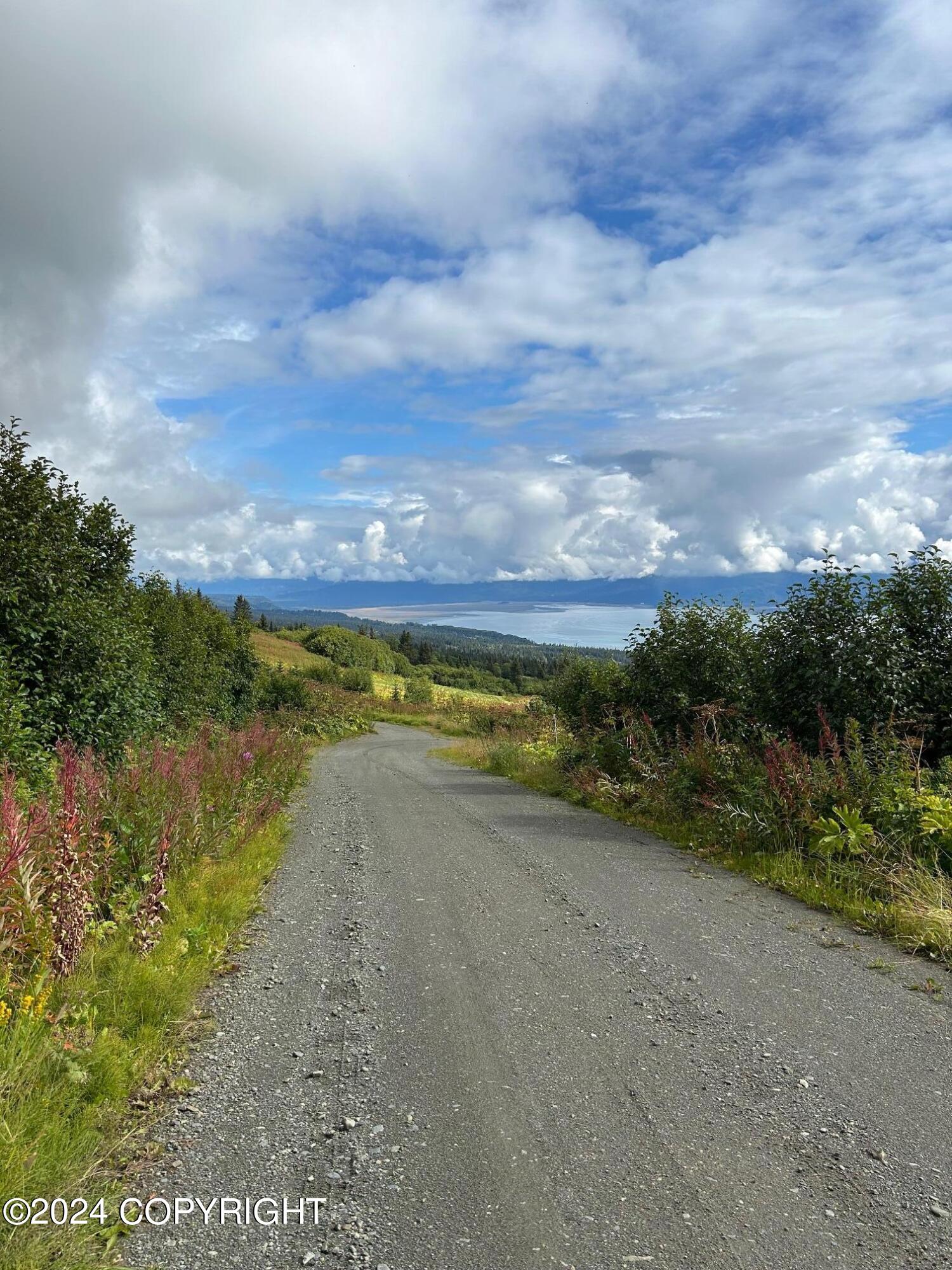 51080 E Trail Mountain Court, Homer, Alaska image 6
