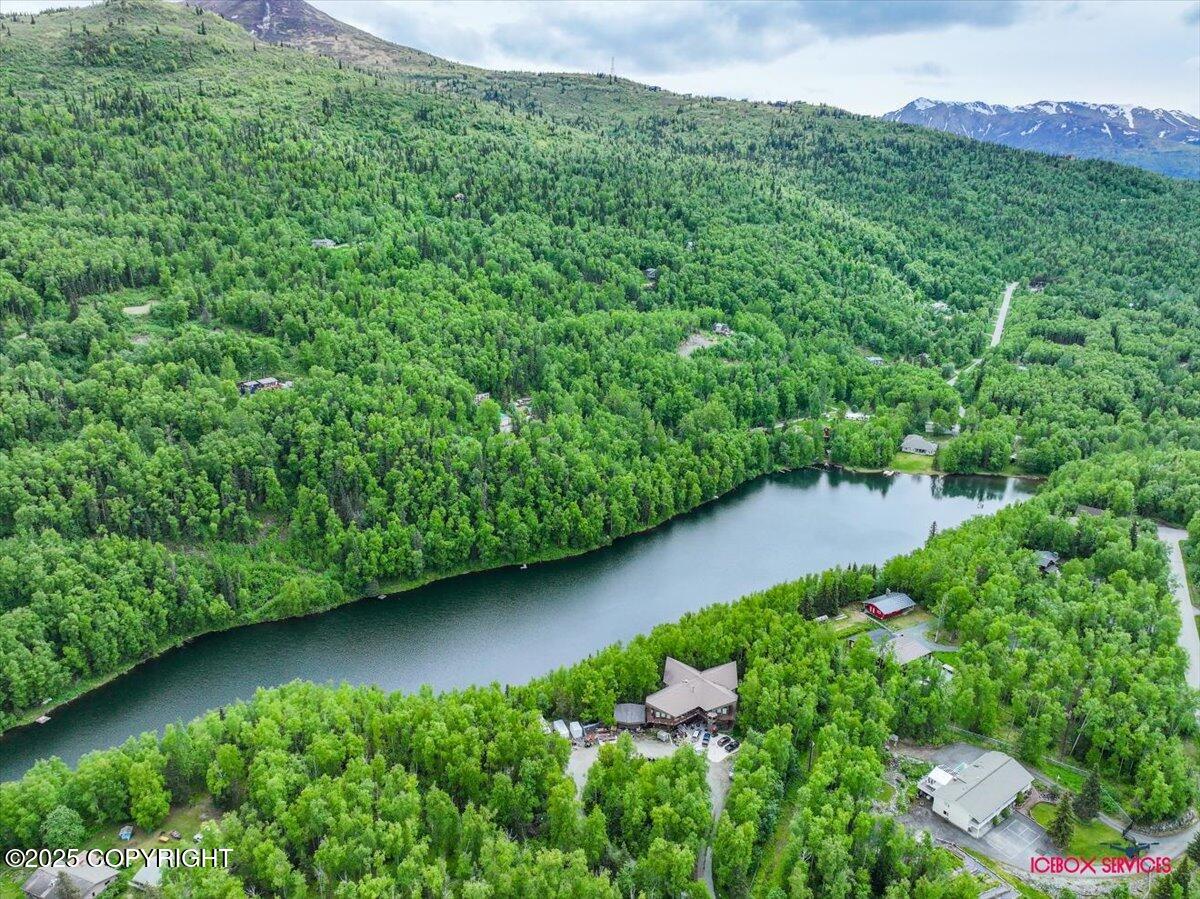 18833 Upper Fish Hatchery Drive, Eagle River, Alaska image 24