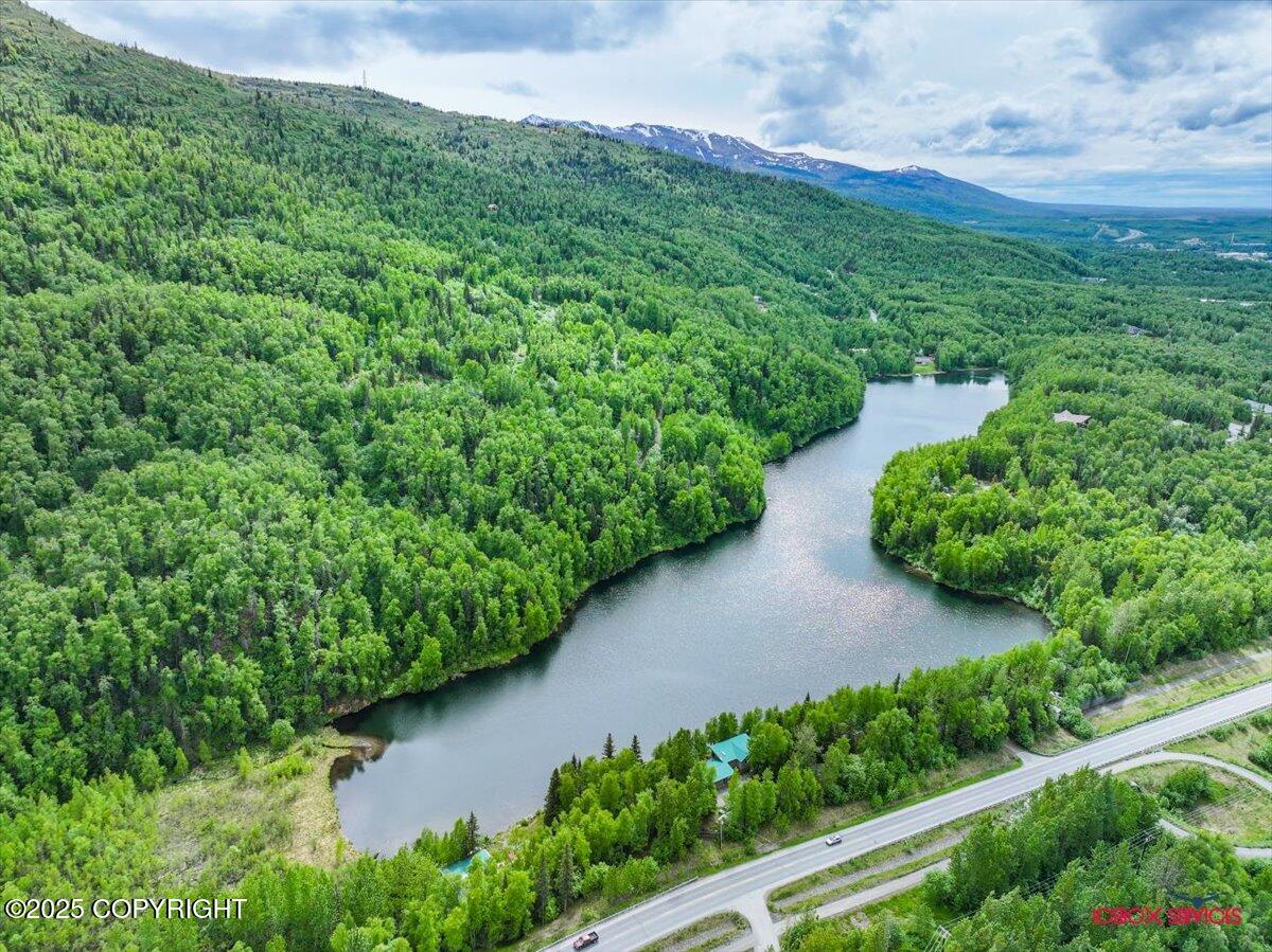18833 Upper Fish Hatchery Drive, Eagle River, Alaska image 21