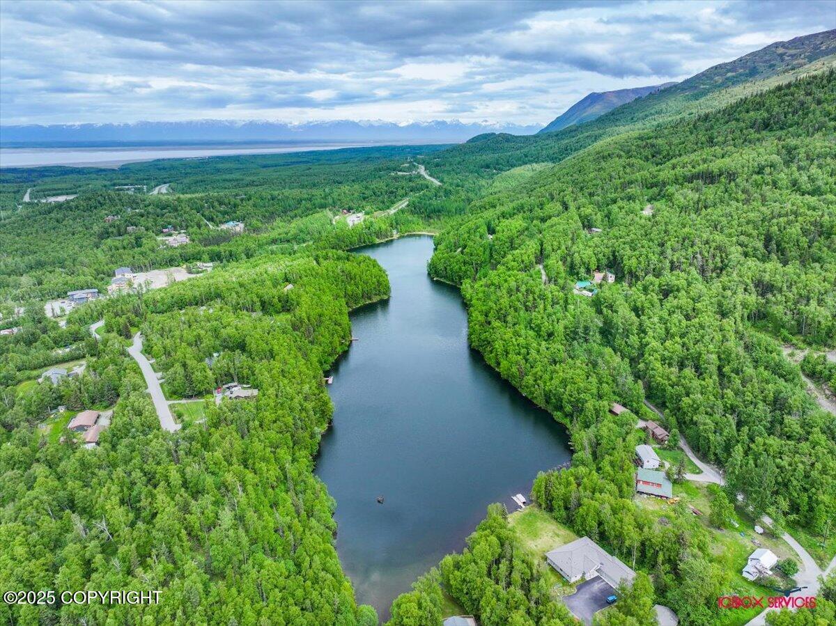 18833 Upper Fish Hatchery Drive, Eagle River, Alaska image 19