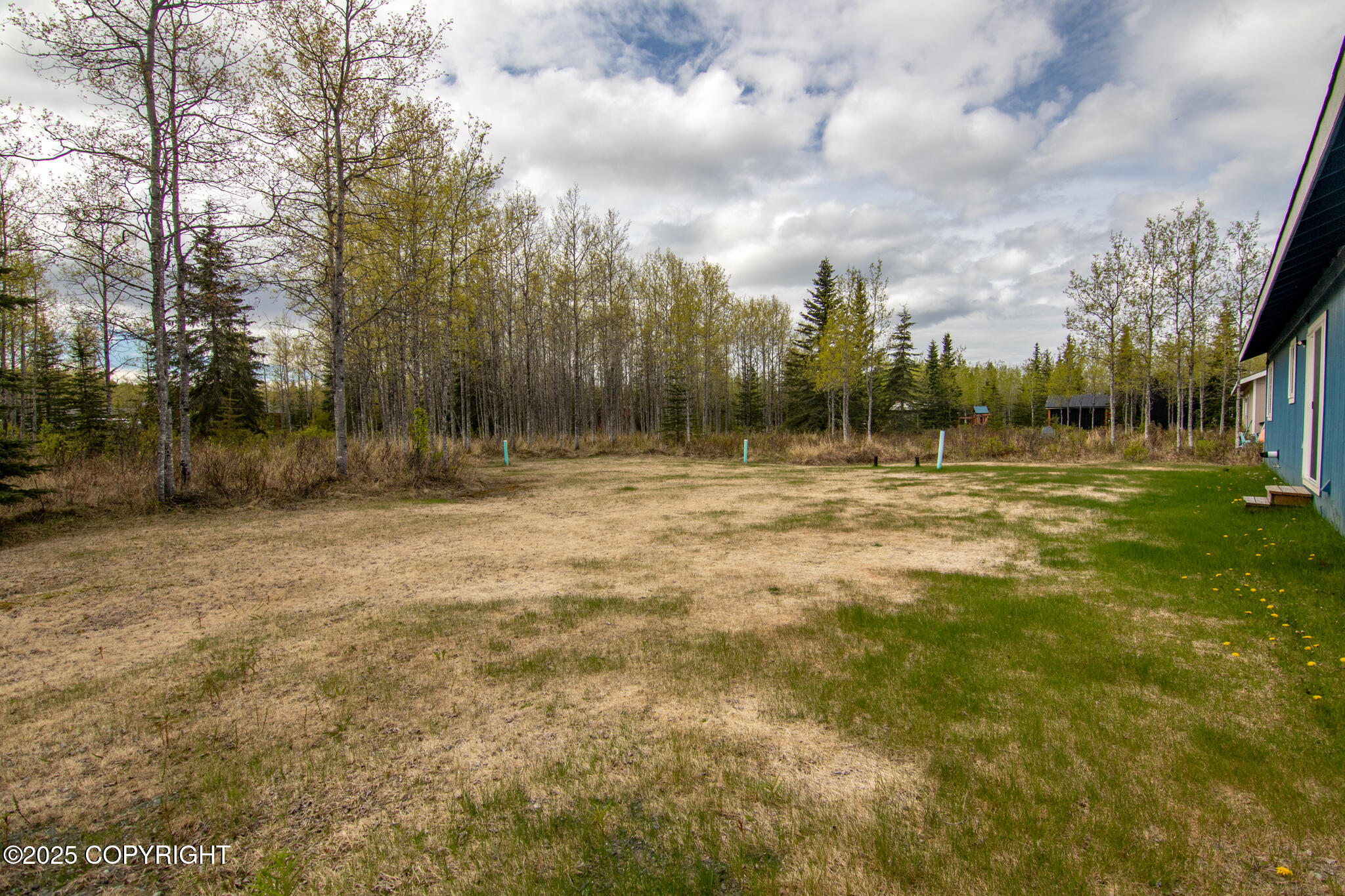 48427 Rustic Avenue, Soldotna, Alaska image 7