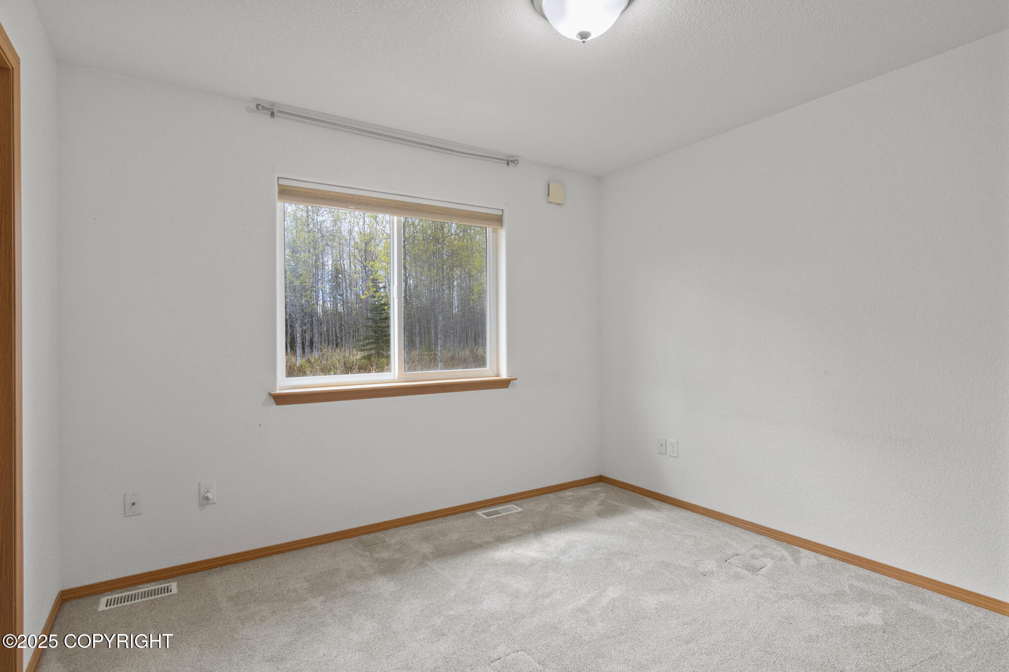 48427 Rustic Avenue, Soldotna, Alaska image 17