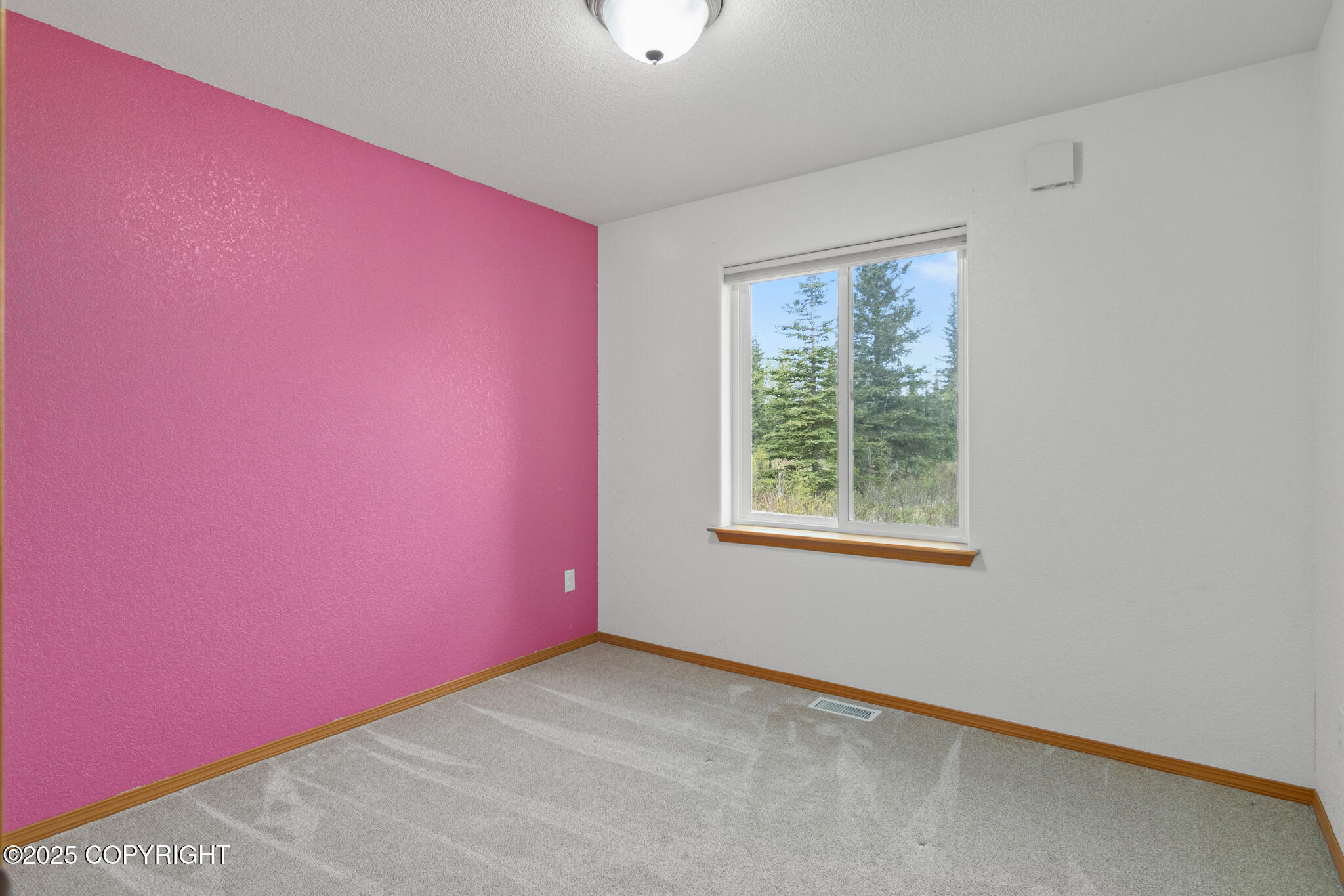 48427 Rustic Avenue, Soldotna, Alaska image 16