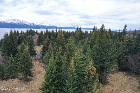 Vacant Land For Sale - 32831 Puzzlz Circle<br/> Homer, AK 99603