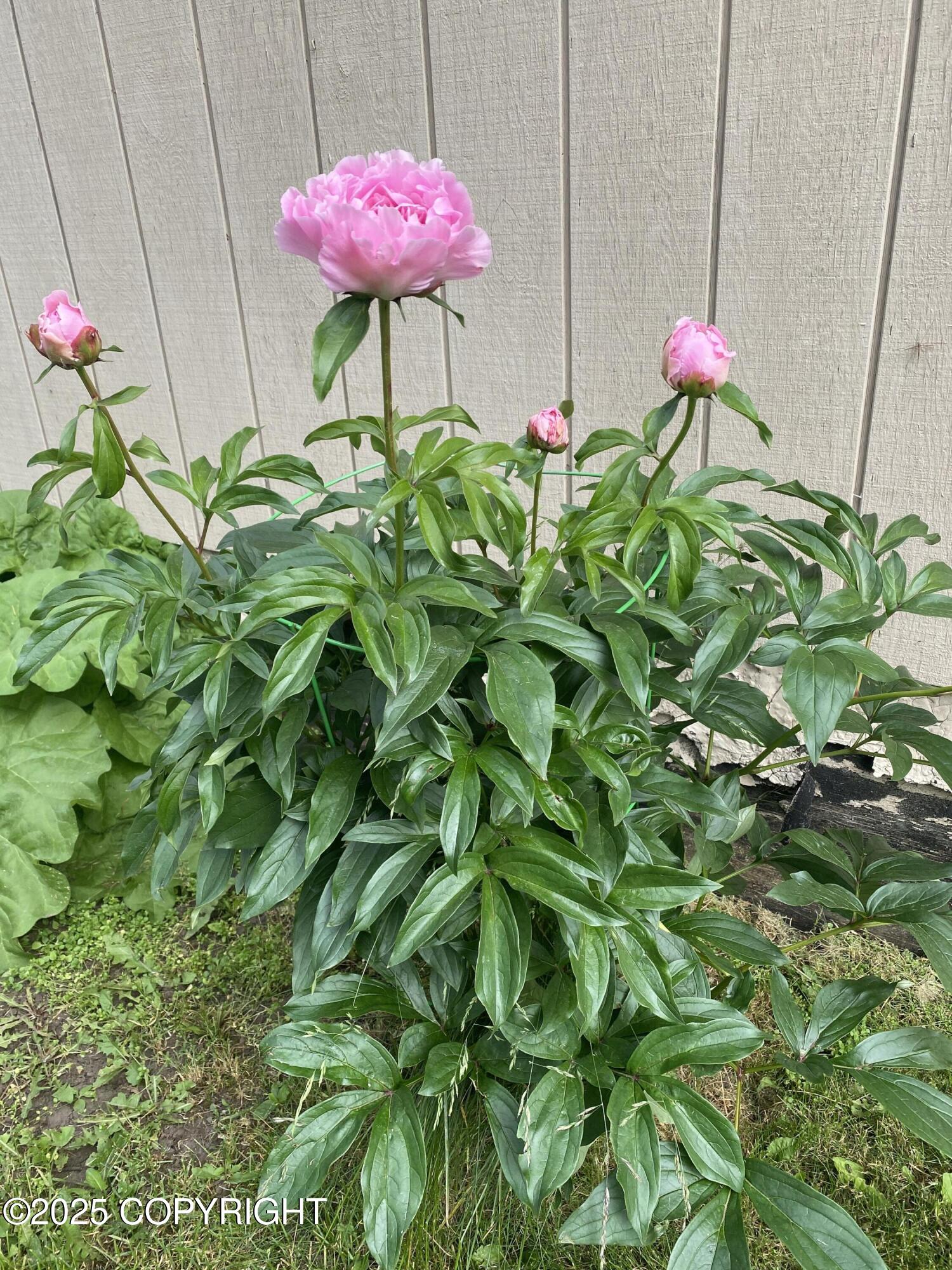 Anchorage, Alaska 99518, United States, 3 Bedrooms Bedrooms, ,2 BathroomsBathrooms,Residential,Pending,209943