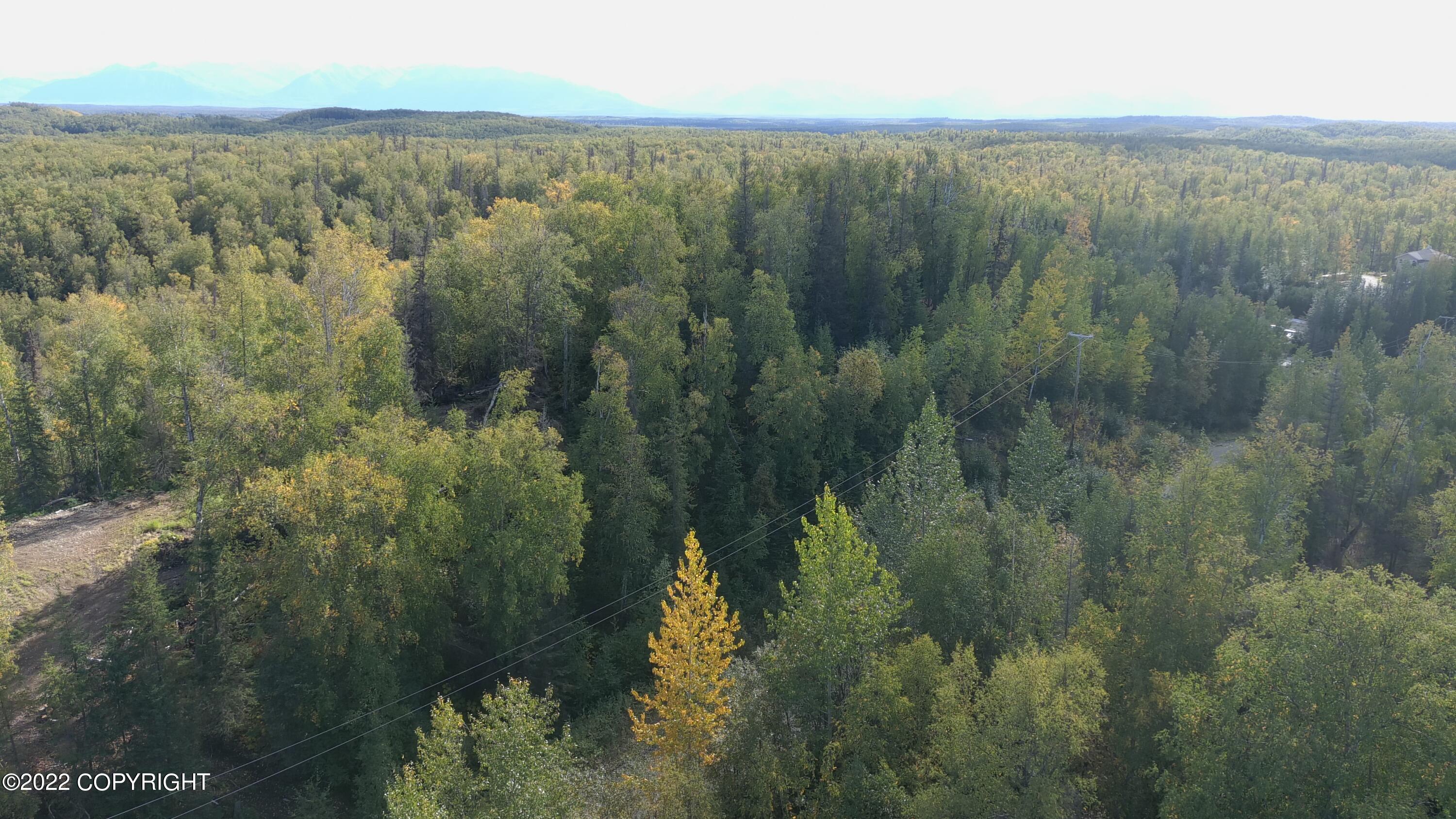 5905 S Jay Sedor Street, Big Lake, Alaska image 10