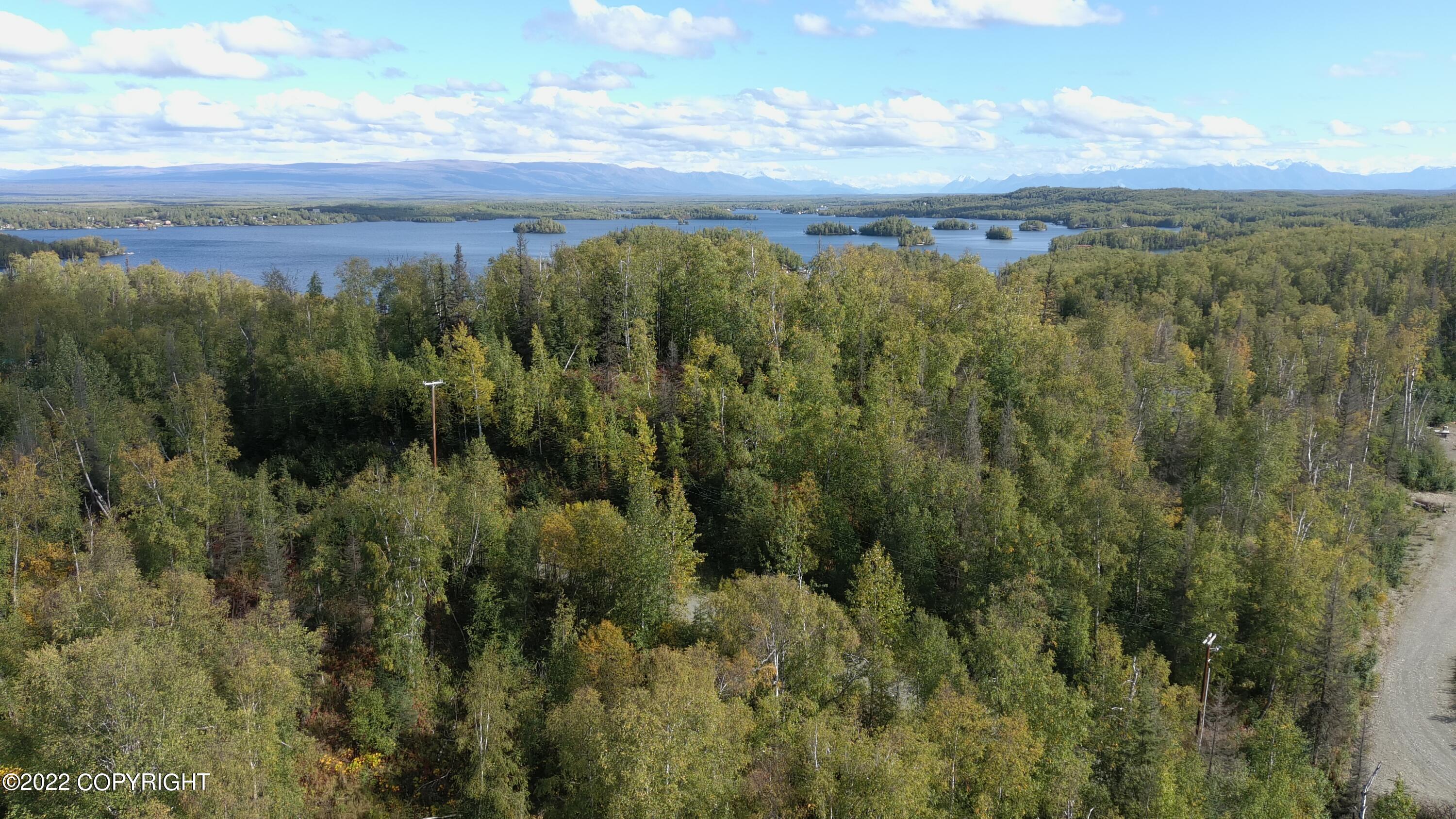 5905 S Jay Sedor Street, Big Lake, Alaska image 8