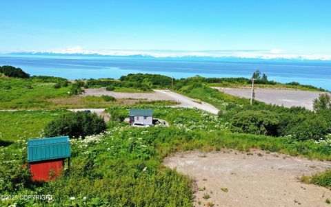 Homes For Sale - 12656 D Meadow Drive<br/> Ninilchik, AK 99639