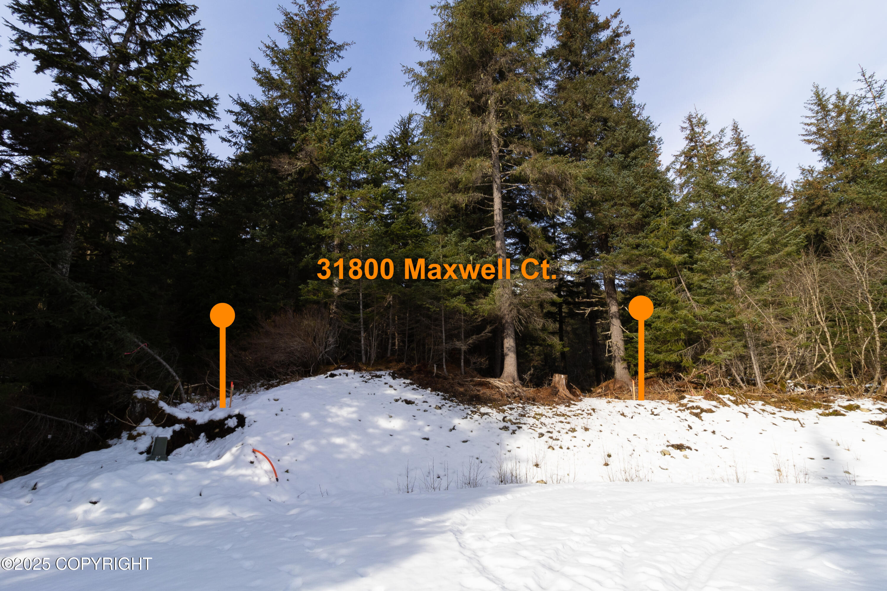 31800 N Maxwell Court, Seward, Idaho image 4