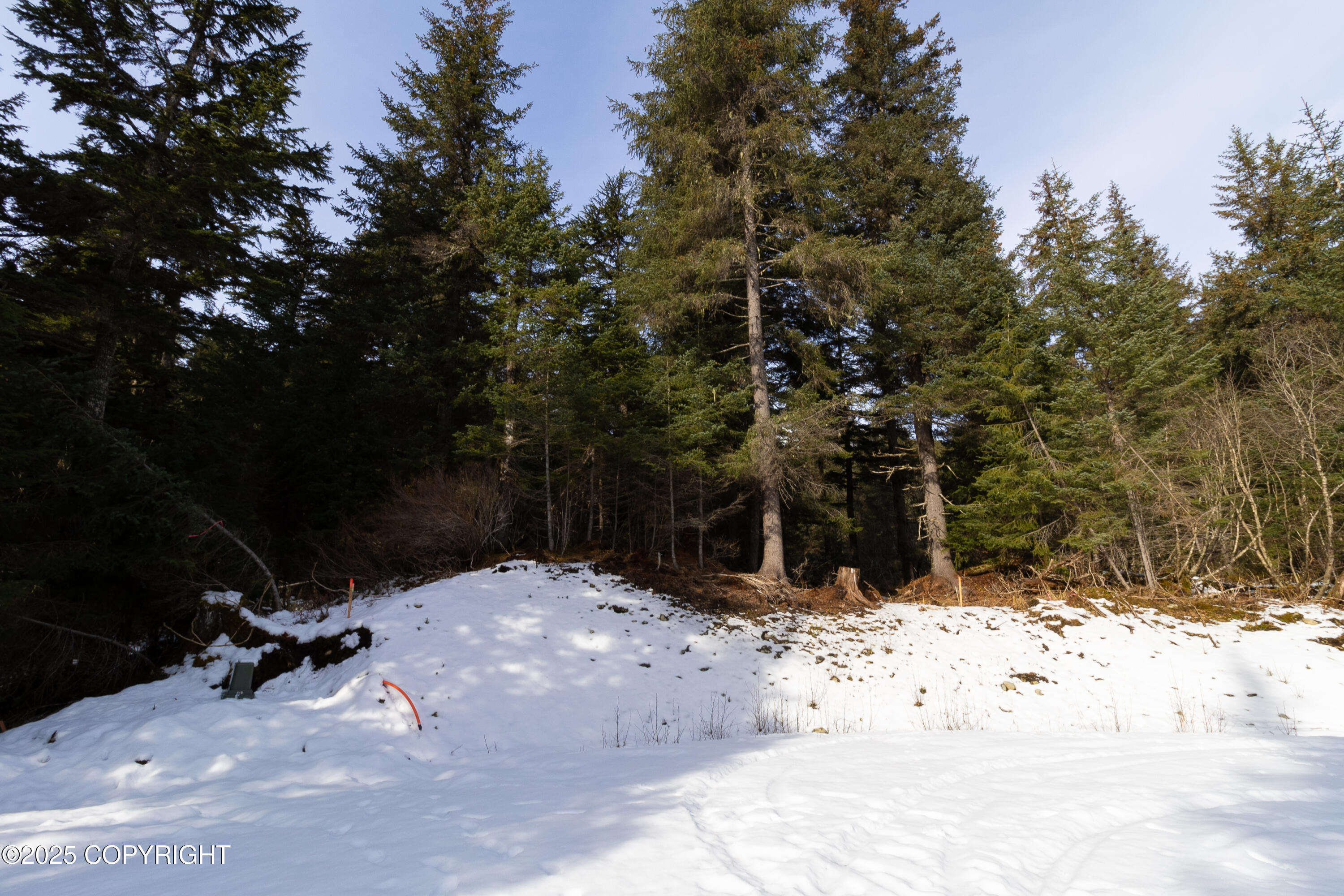 31800 N Maxwell Court, Seward, Idaho image 3
