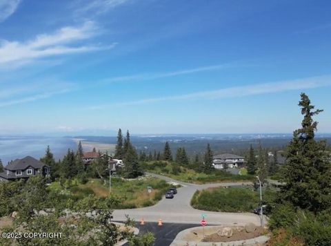 Vacant Land For Sale - L2 Panoramic Circle<br/> Anchorage, AK 99516