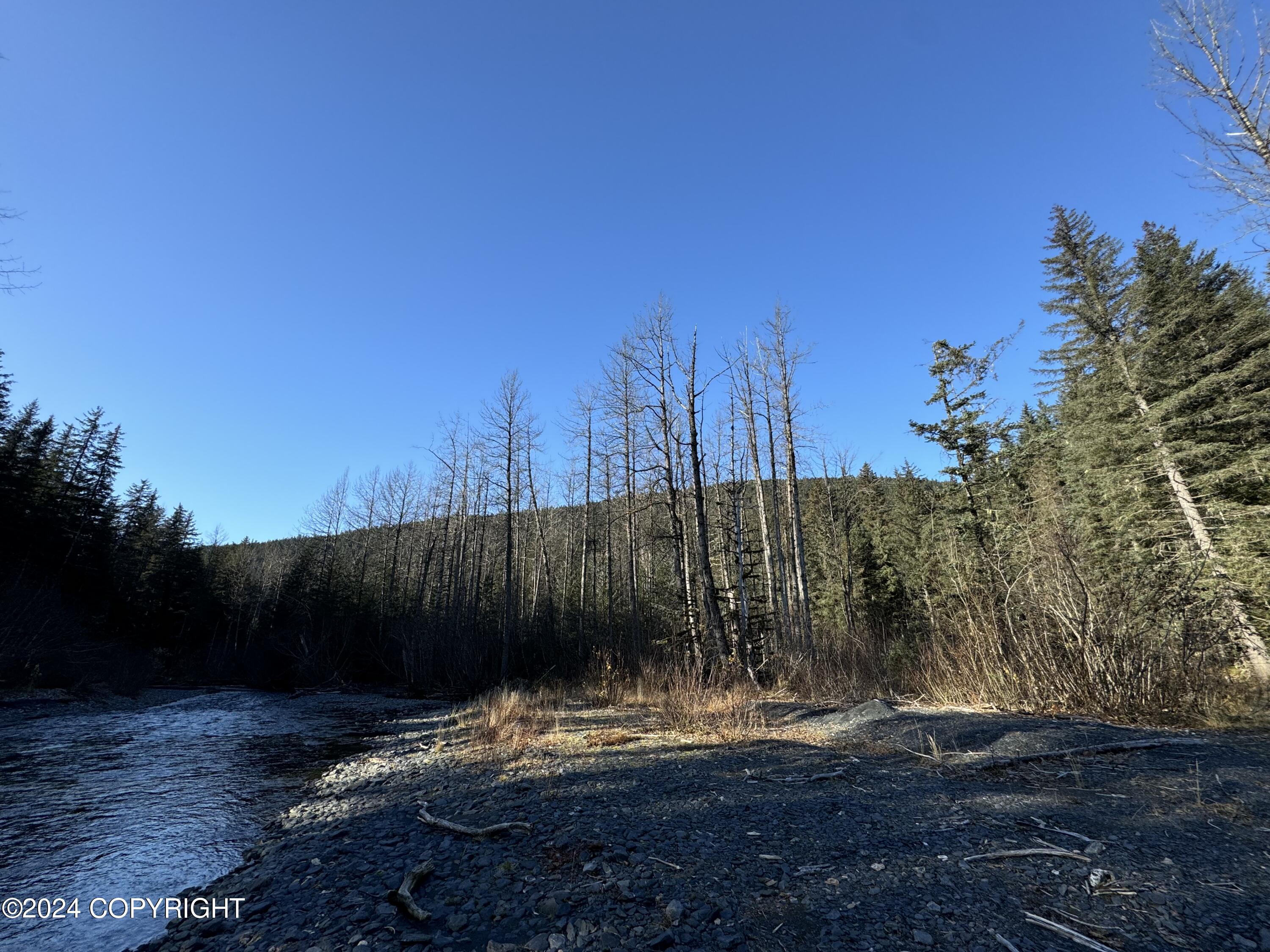 NHN Seward Highway, Seward, Alaska image 12